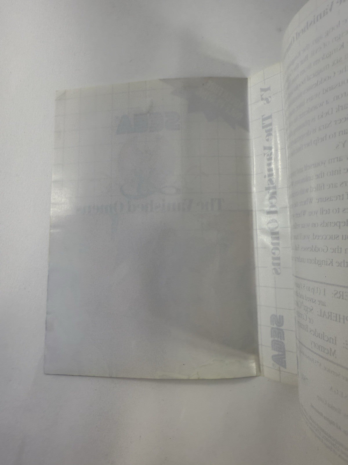 YS: The Vanished Omens (Sega Master System, 1988) Case And Manual Only - No Game