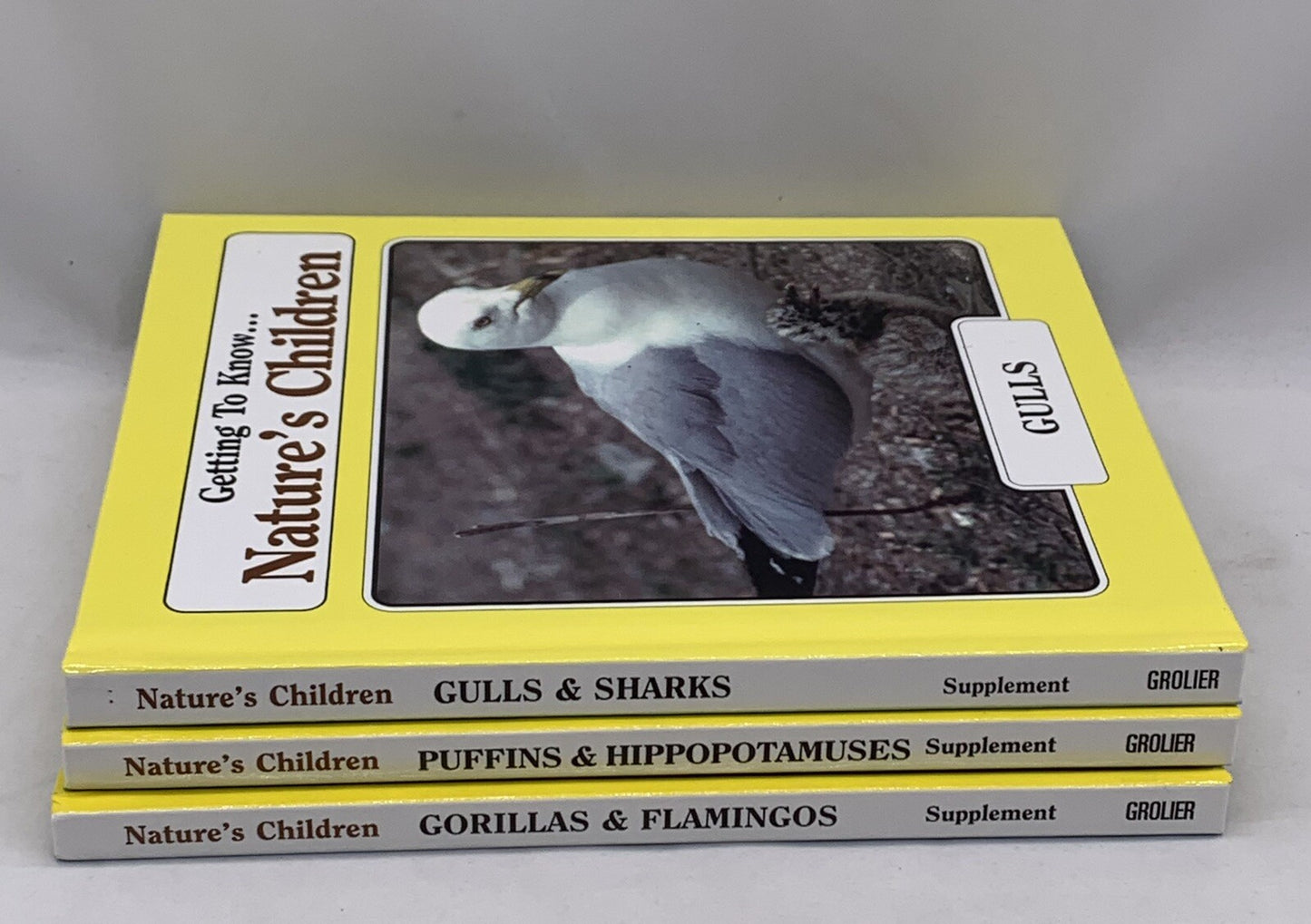 Getting to Know... Nature's Children (Hardcover bundle) Gorillas Puffins Gulls