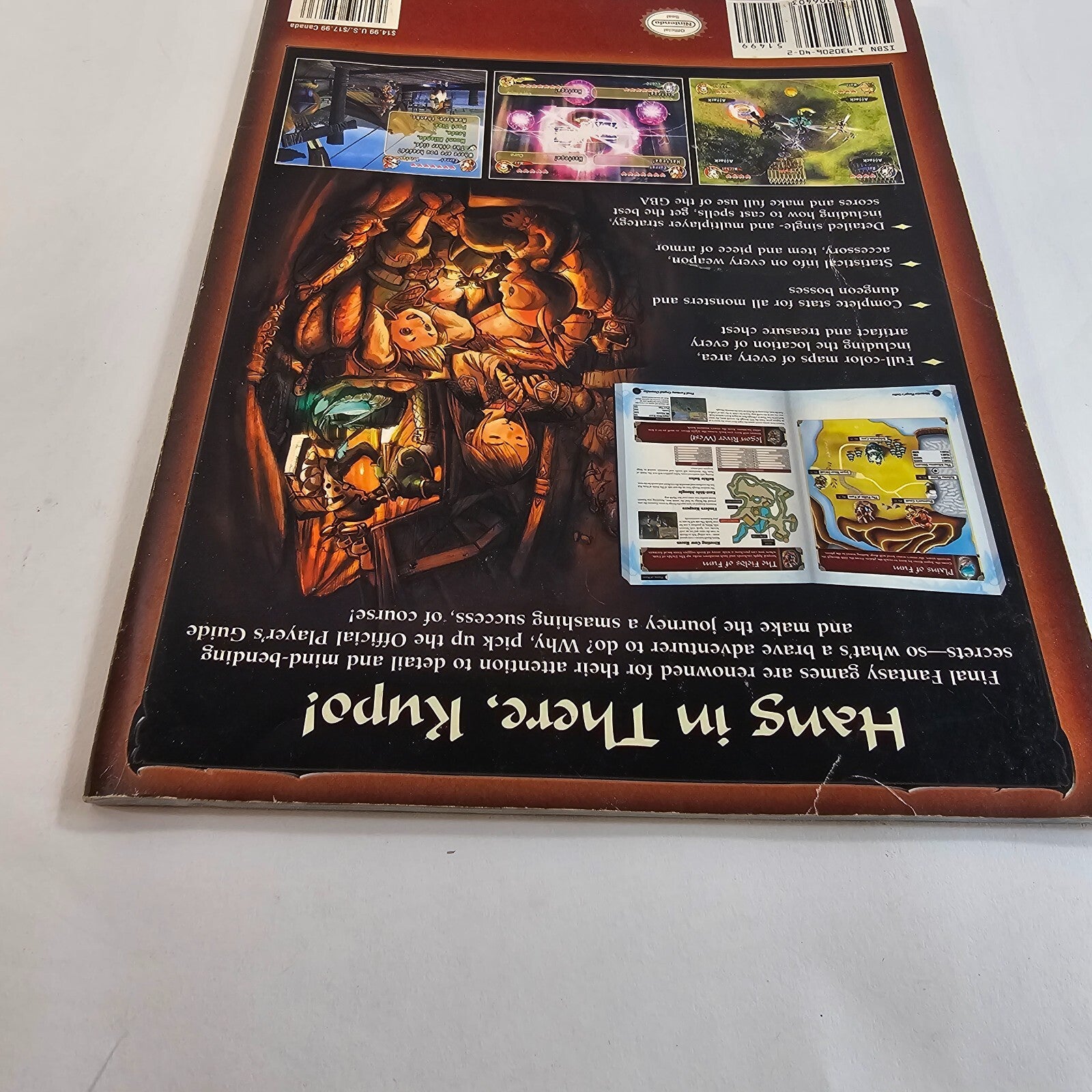 Nintendo Final Fantasy Crystal Chronicles Official Strategy Guide Book Game Cube