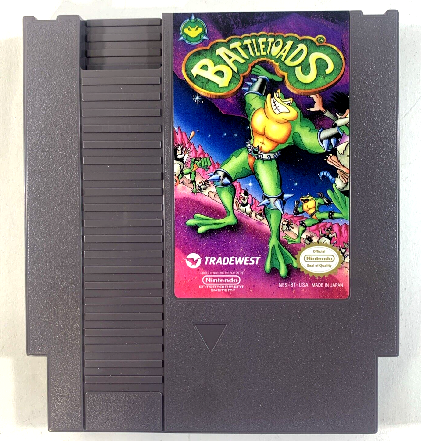 Battletoads (Nintendo Entertainment System, 1991) Game Box Manual Poster Foam