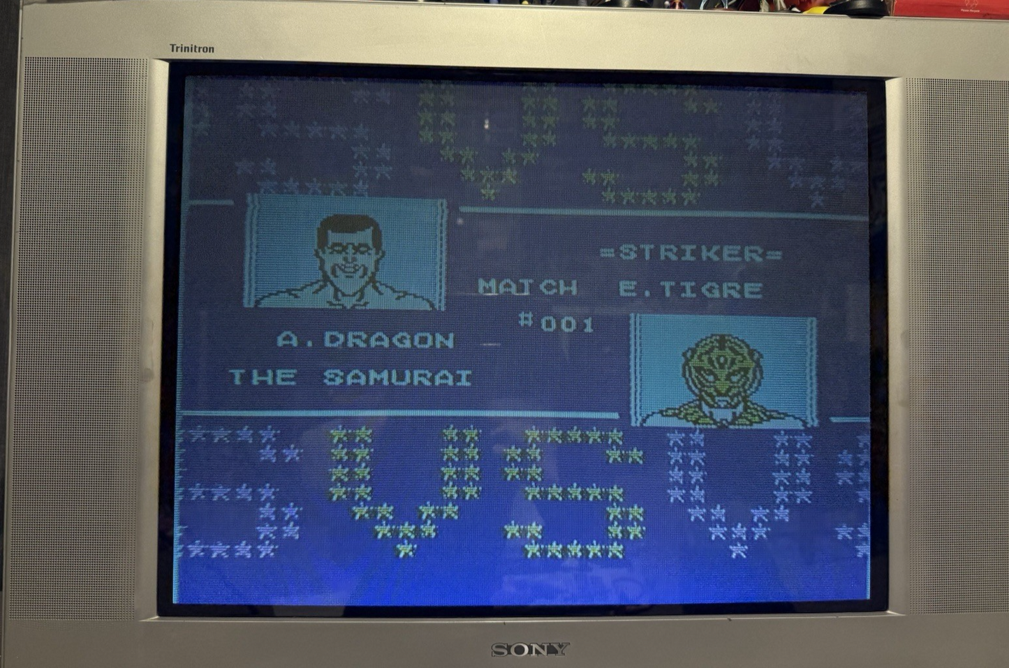 Tecmo World Wrestling (Nintendo NES, 1990) Game Cartridge - Tested and Working