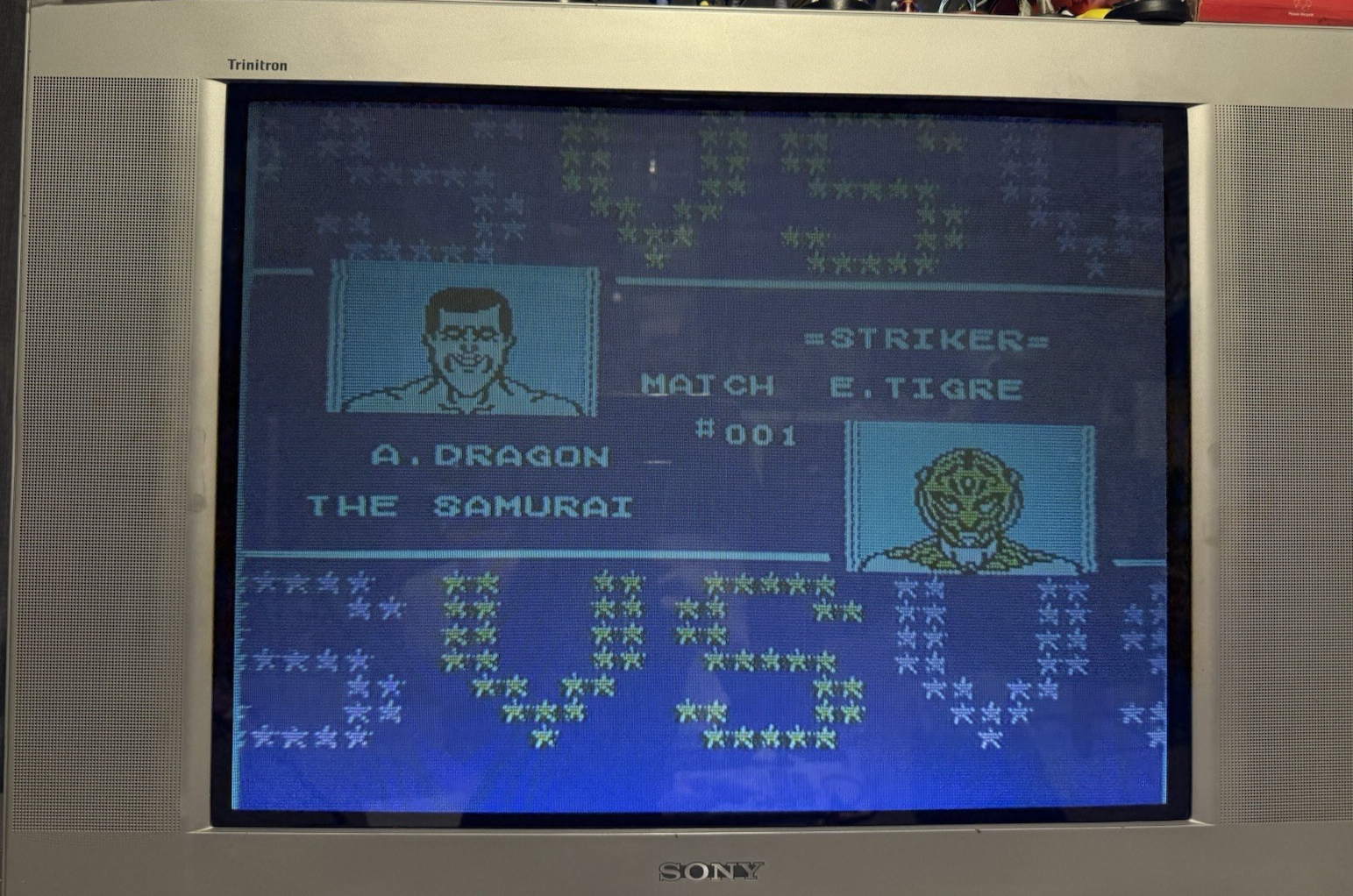 Tecmo World Wrestling (Nintendo NES, 1990) Game Cartridge - Tested and Working