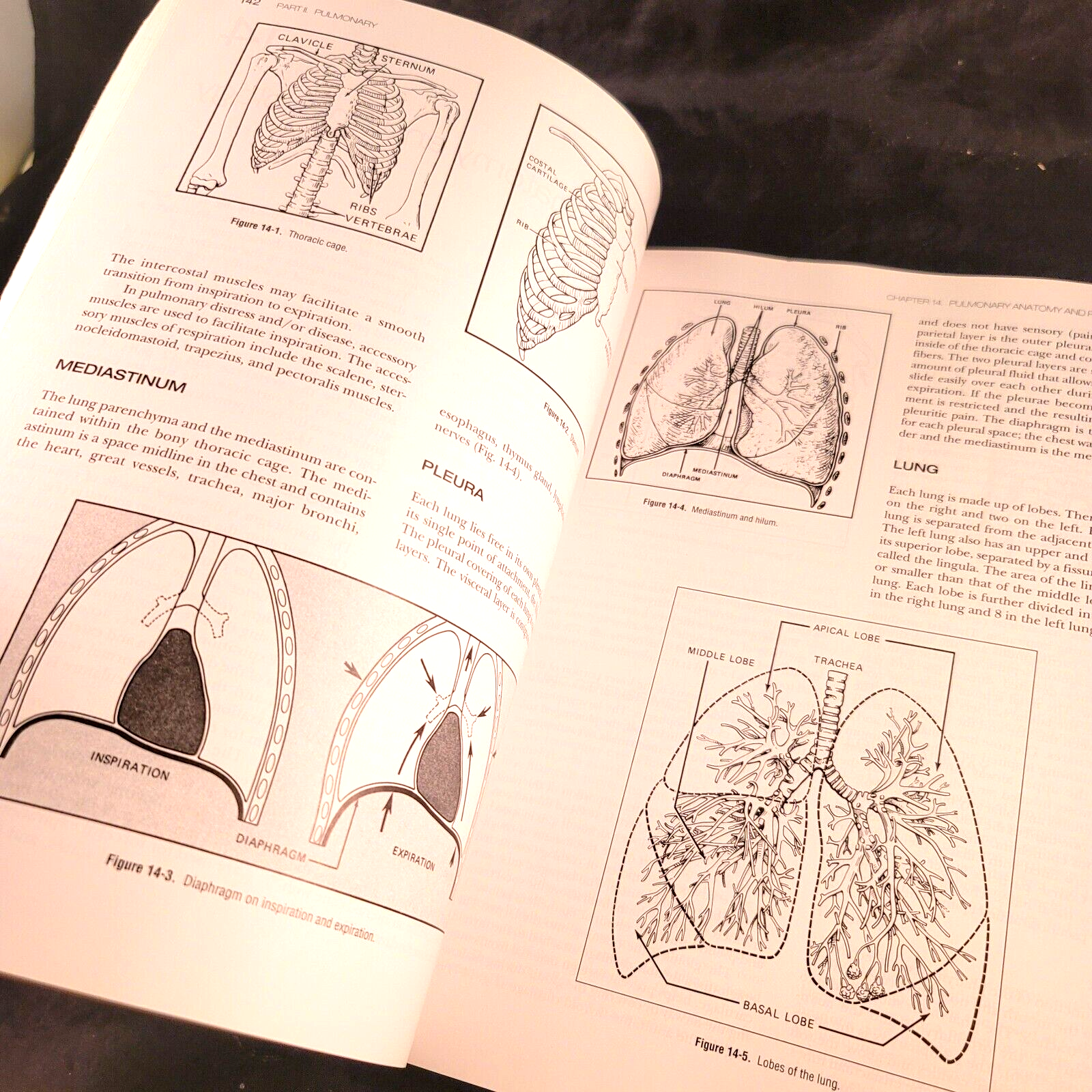 Progressive Care Nursing Certification: Preparation, Review, and Practice Exams