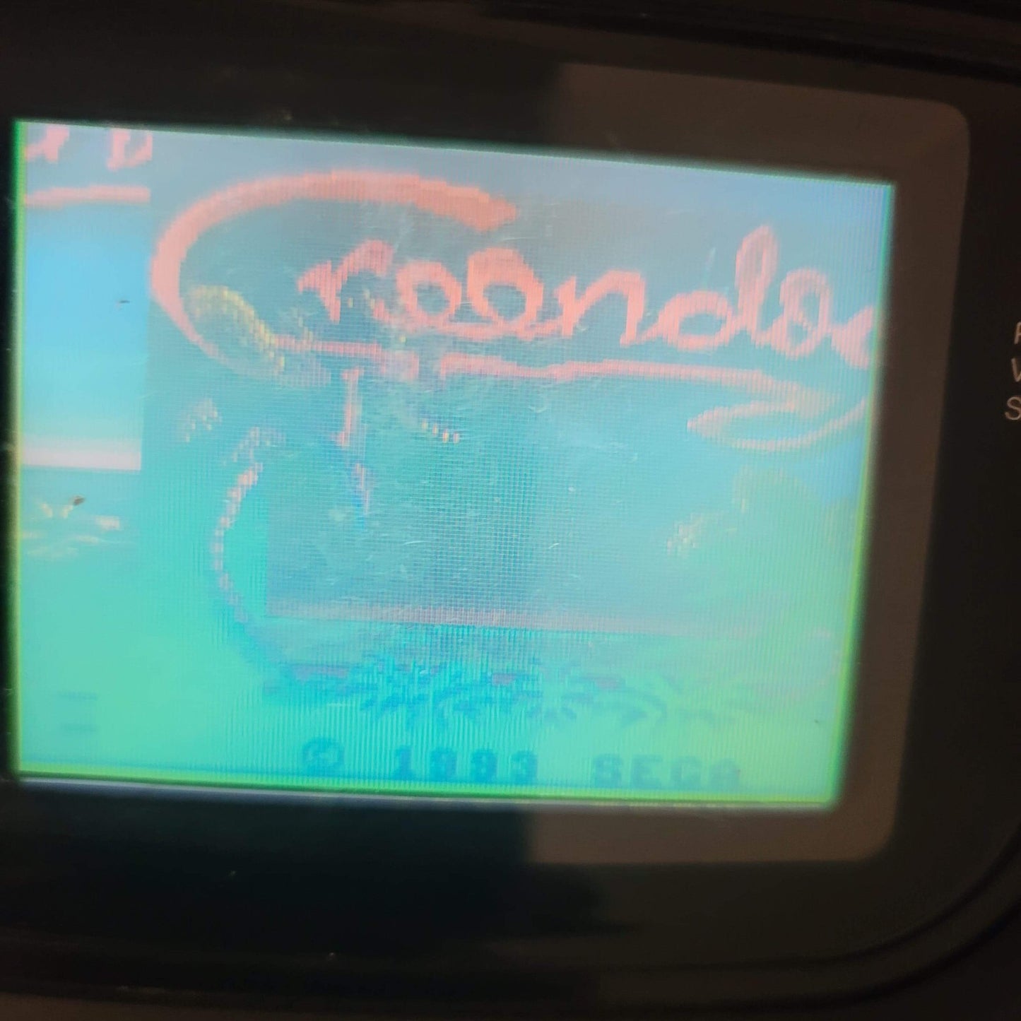 Greendog: The Beached Surfer Dude (Sega Game Gear, 1993) Game Only