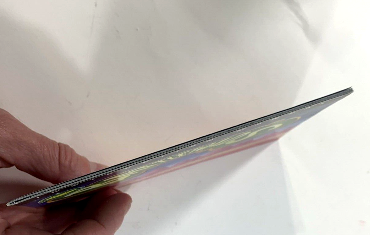 Battletoads (Nintendo Entertainment System, 1991) Game Box Manual Poster Foam