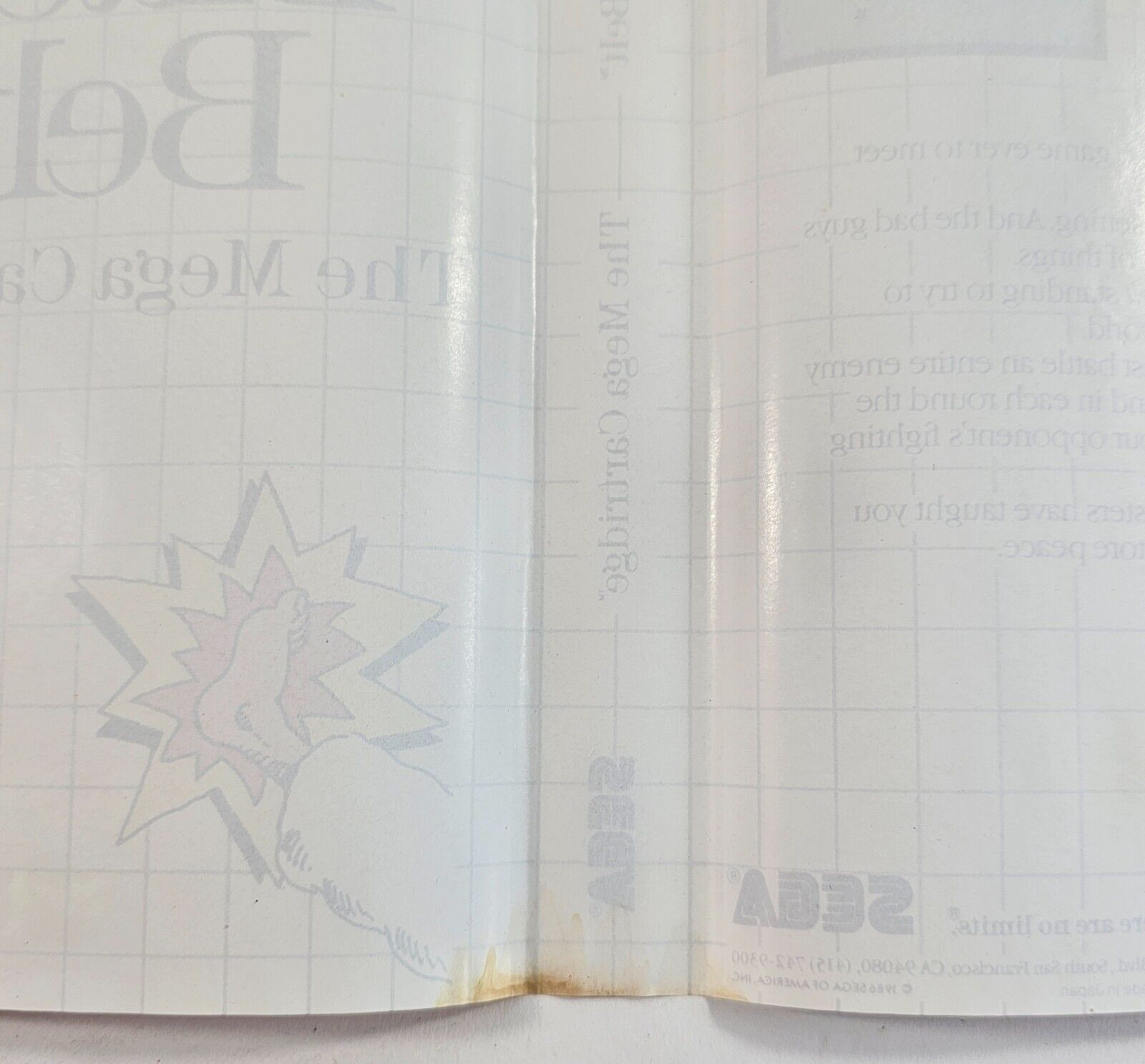 Black Belt (Sega Master System, 1986) Game Case Manual  - Tested and Working