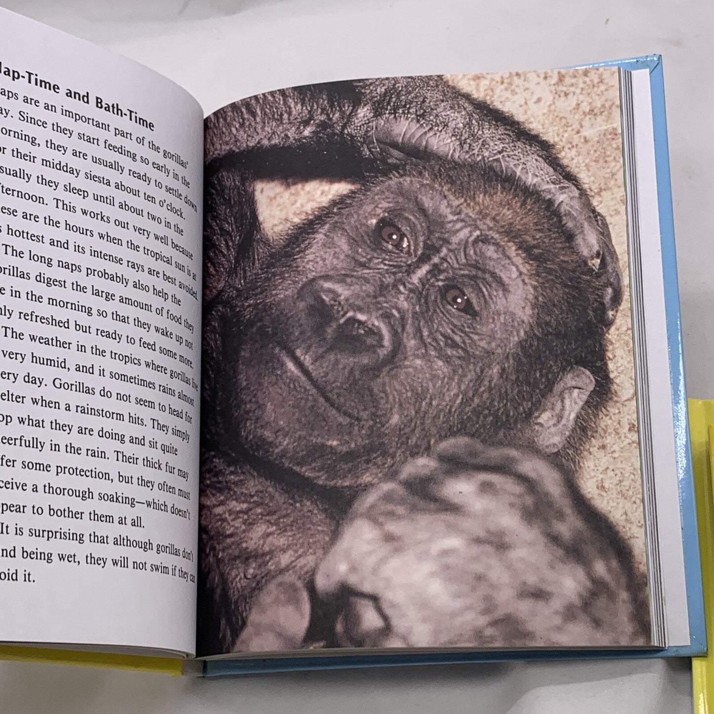 Getting to Know... Nature's Children (Hardcover bundle) Gorillas Puffins Gulls