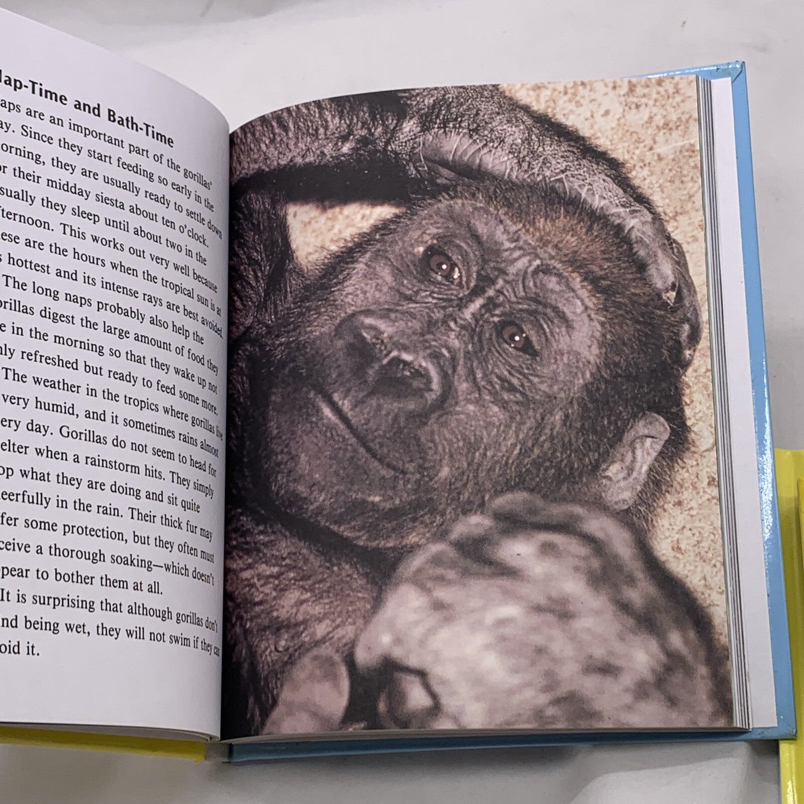 Getting to Know... Nature's Children (Hardcover bundle) Gorillas Puffins Gulls