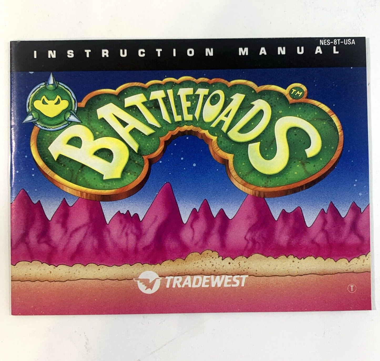 Battletoads (Nintendo Entertainment System, 1991) Game Box Manual Poster Foam