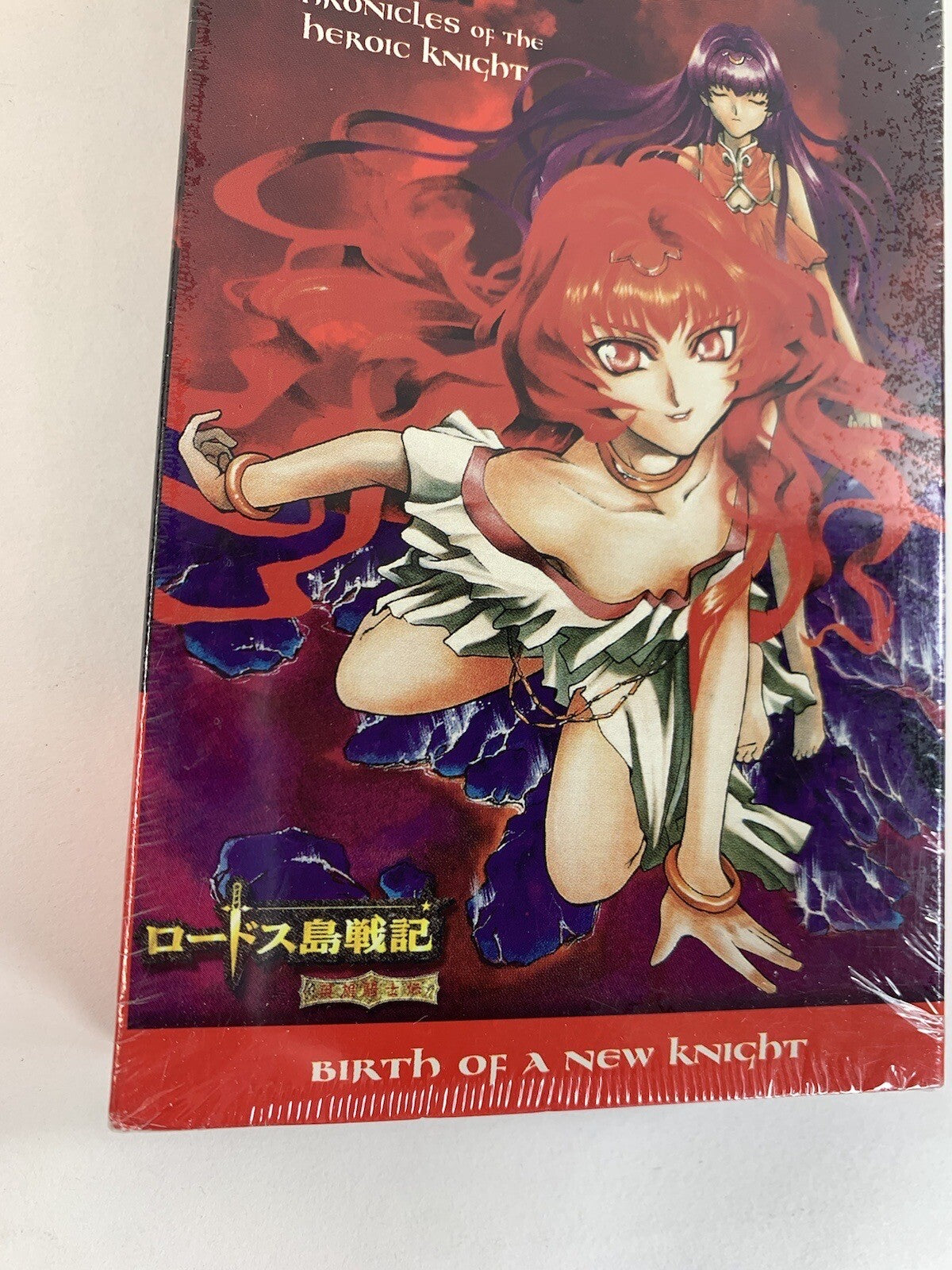 Record of Lodoss War: Chronicles of the Heroic Knight Vol. 9 - Birth of a New...