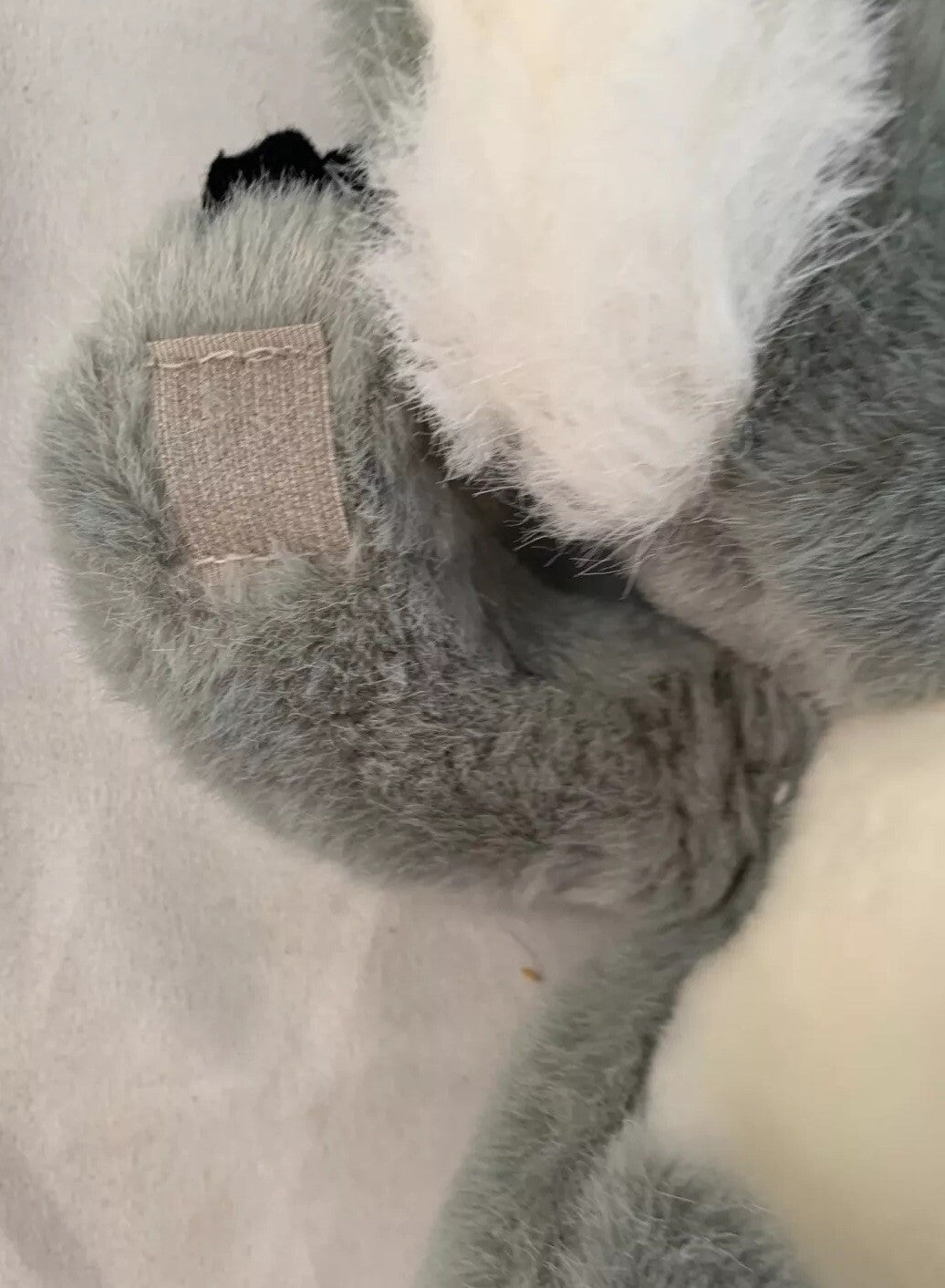 Koala Bear Plush Designed In Australia By Besko Toy Co. Soft Cuddly