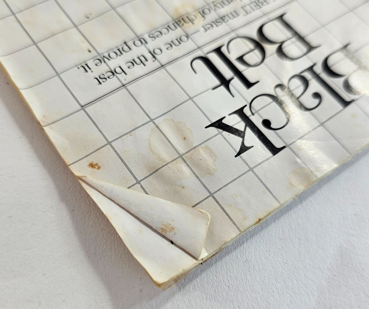 Black Belt (Sega Master System, 1986) Game Case Manual  - Tested and Working