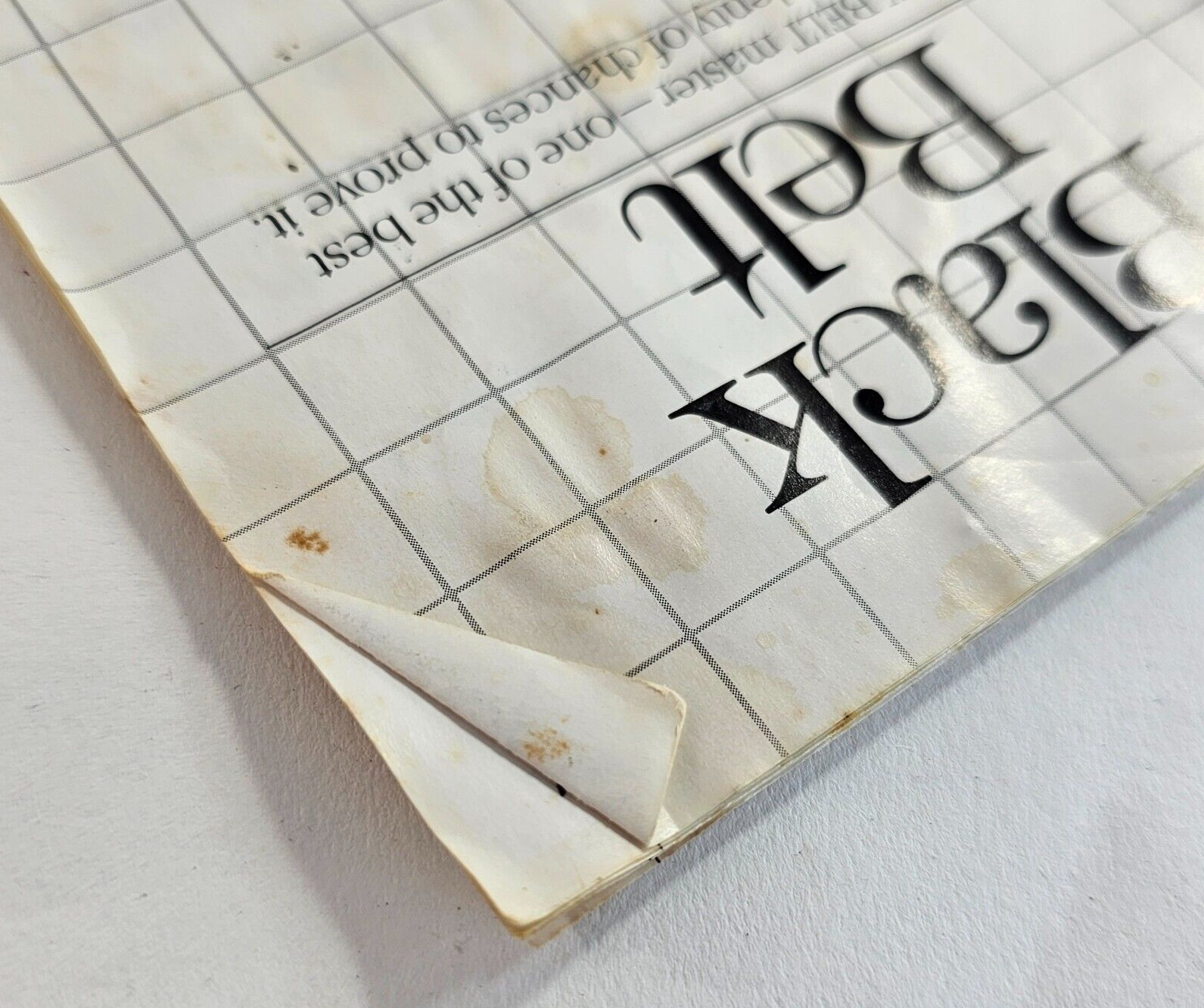 Black Belt (Sega Master System, 1986) Game Case Manual  - Tested and Working