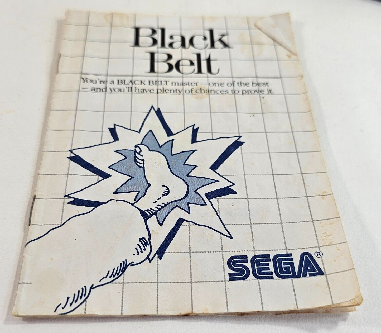 Black Belt (Sega Master System, 1986) Game Case Manual  - Tested and Working