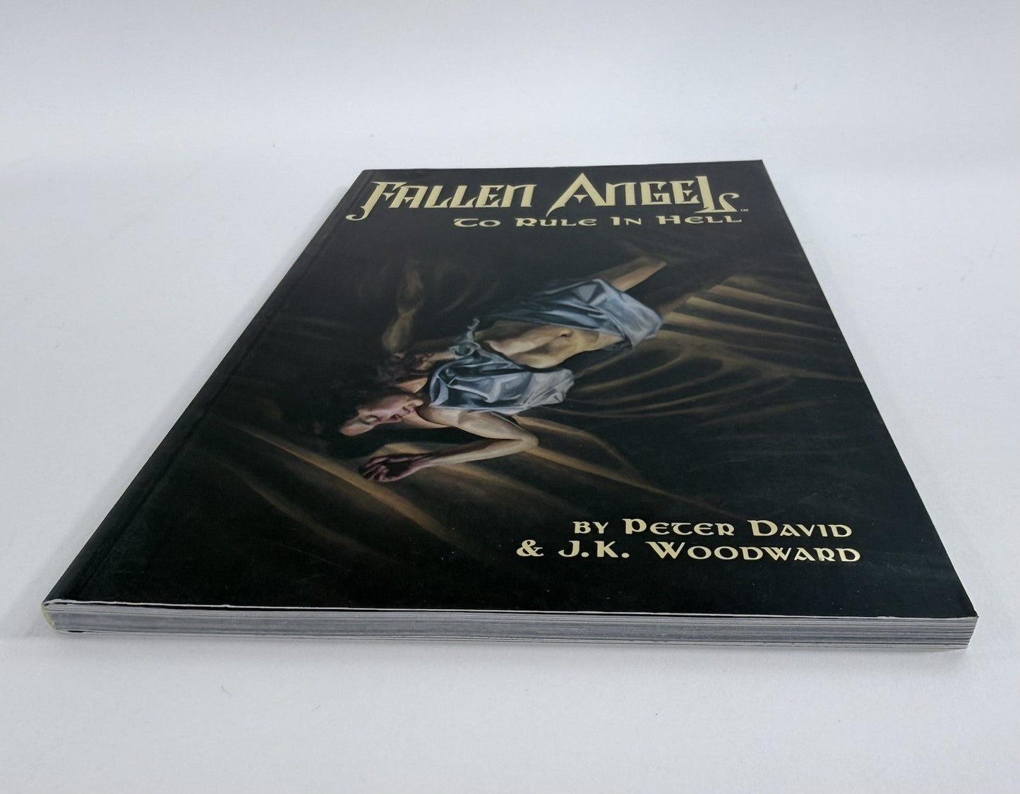 Fallen Angel: To Rule in Hell (IDW, 2007) Back in Noire - First Prints - #2 #3