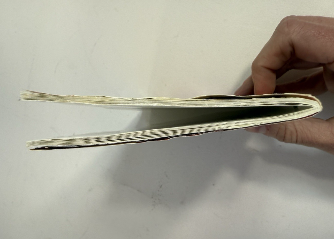 Bulls vs. Blazers and the NBA Playoffs (Sega Genesis, 1993) Game, Case, Manual