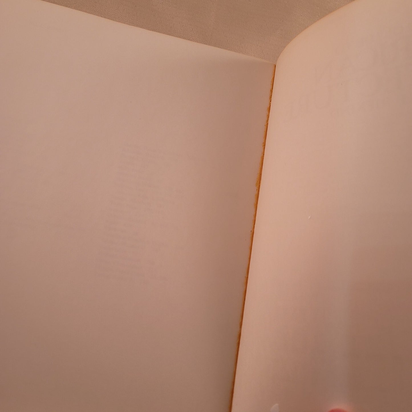 A Field Guide to American Architecture  Carole Rifkind Plume