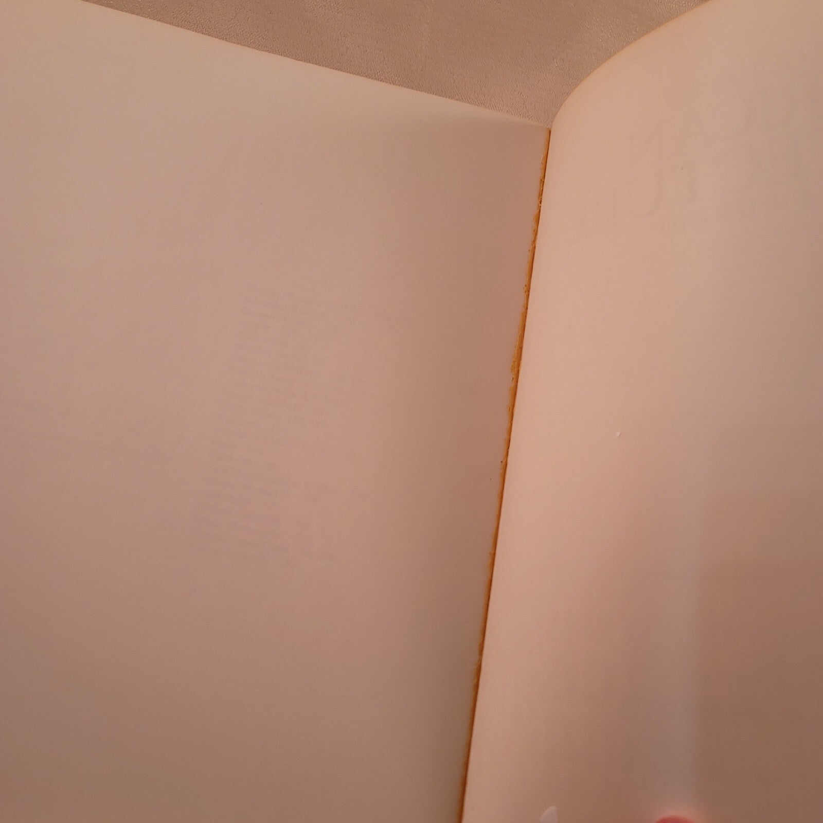 A Field Guide to American Architecture  Carole Rifkind Plume