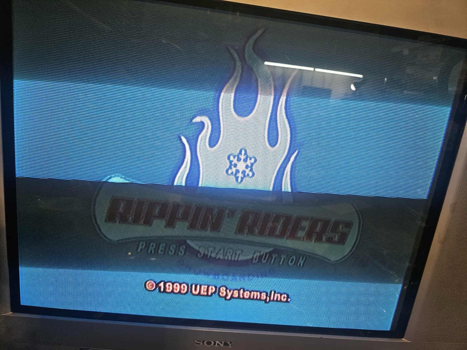 Rippin' Riders Snowboarding (Sega Dreamcast, 1999) Game, Case, Manual - Tested