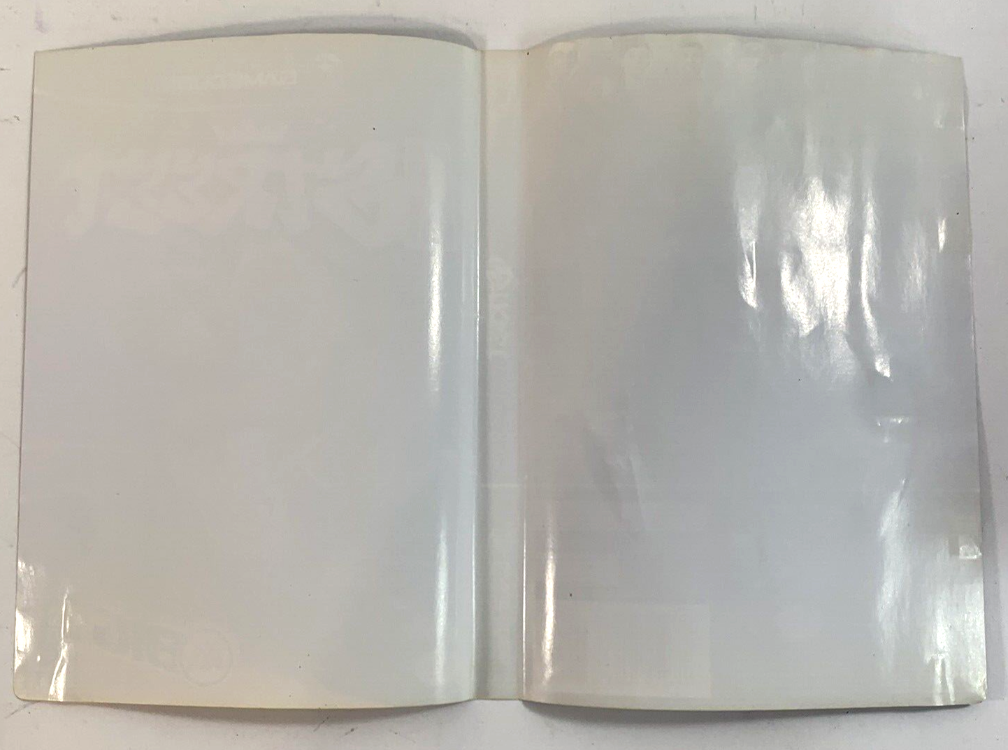 NBA Street (Nintendo Gamecube, 2001) Original Game Case and Artwork Only