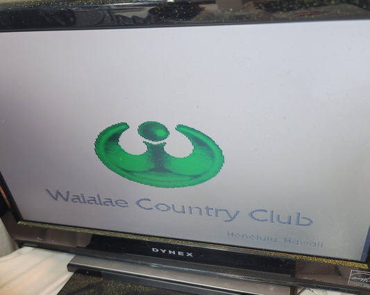 True Golf Classics: Waialae Country Club (Super Nintendo, 1991) Game Cartridge