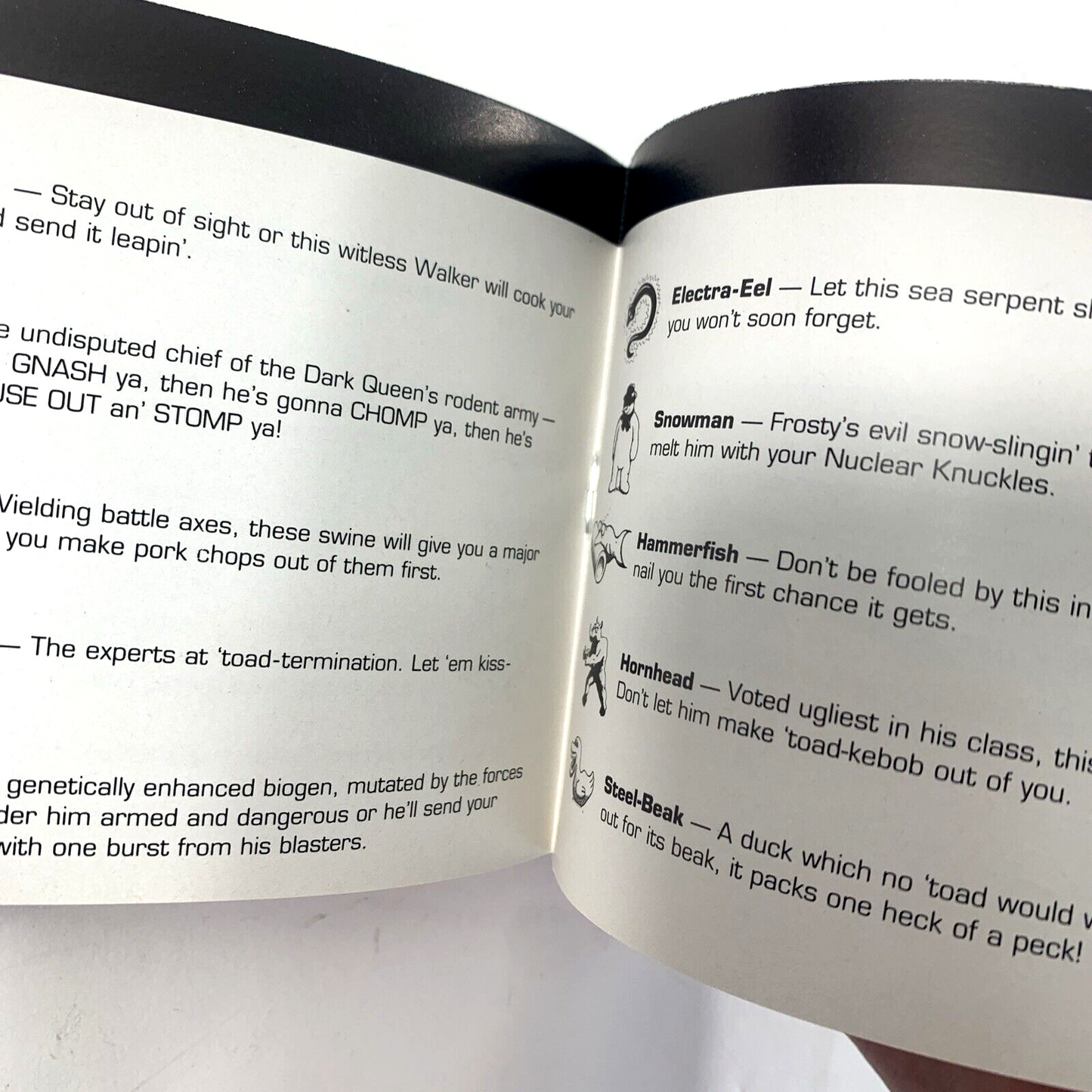 Battletoads (Nintendo Entertainment System, 1991) Game Box Manual Poster Foam