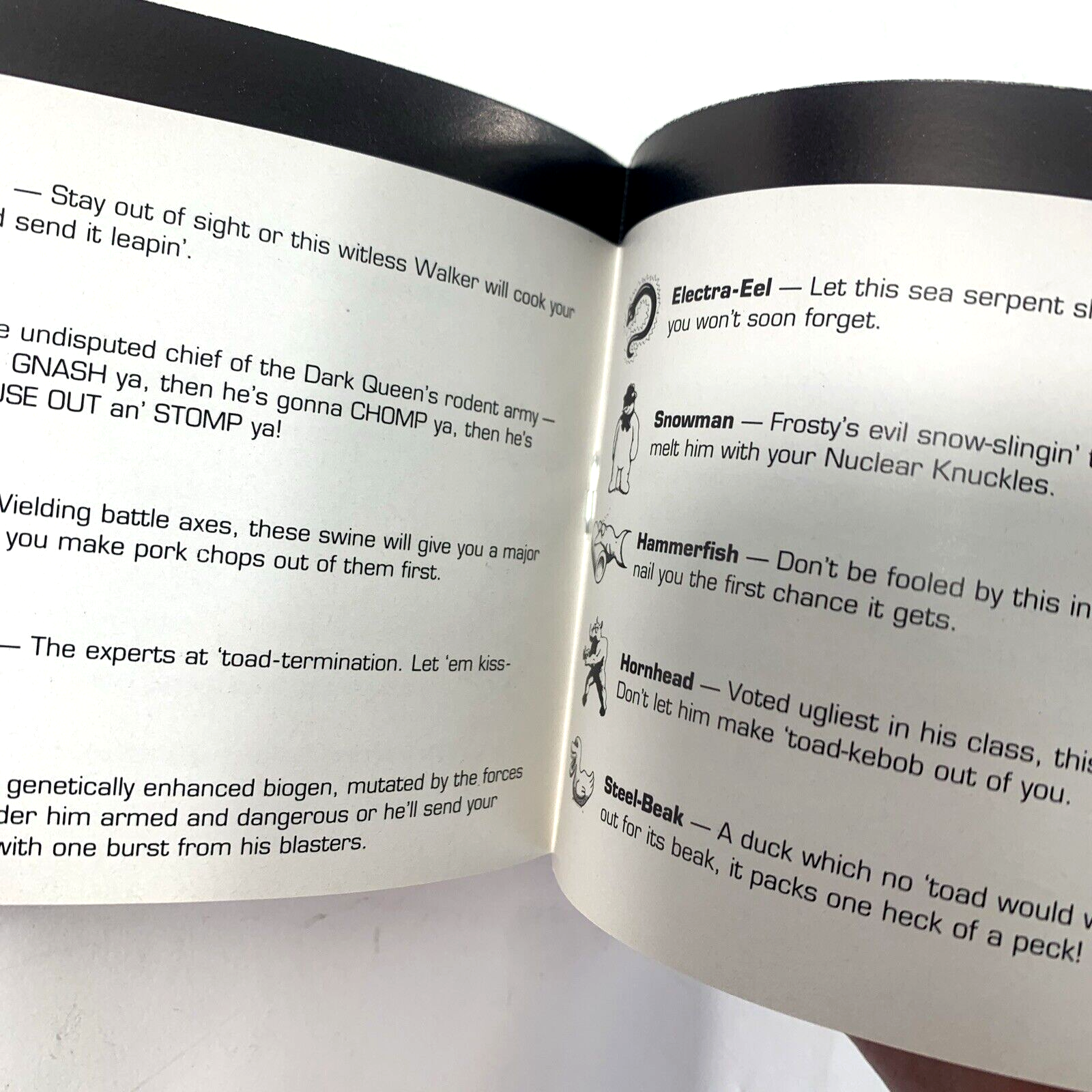 Battletoads (Nintendo Entertainment System, 1991) Game Box Manual Poster Foam