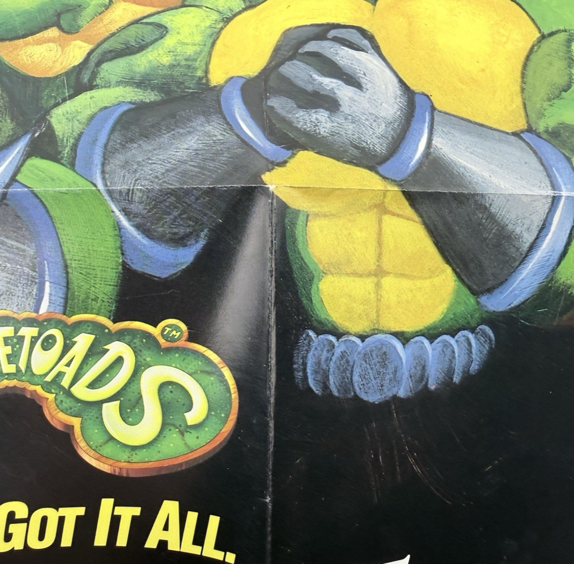Battletoads (Nintendo NES, 1991) Game Box Manual Poster Foam Sleeve - Tested