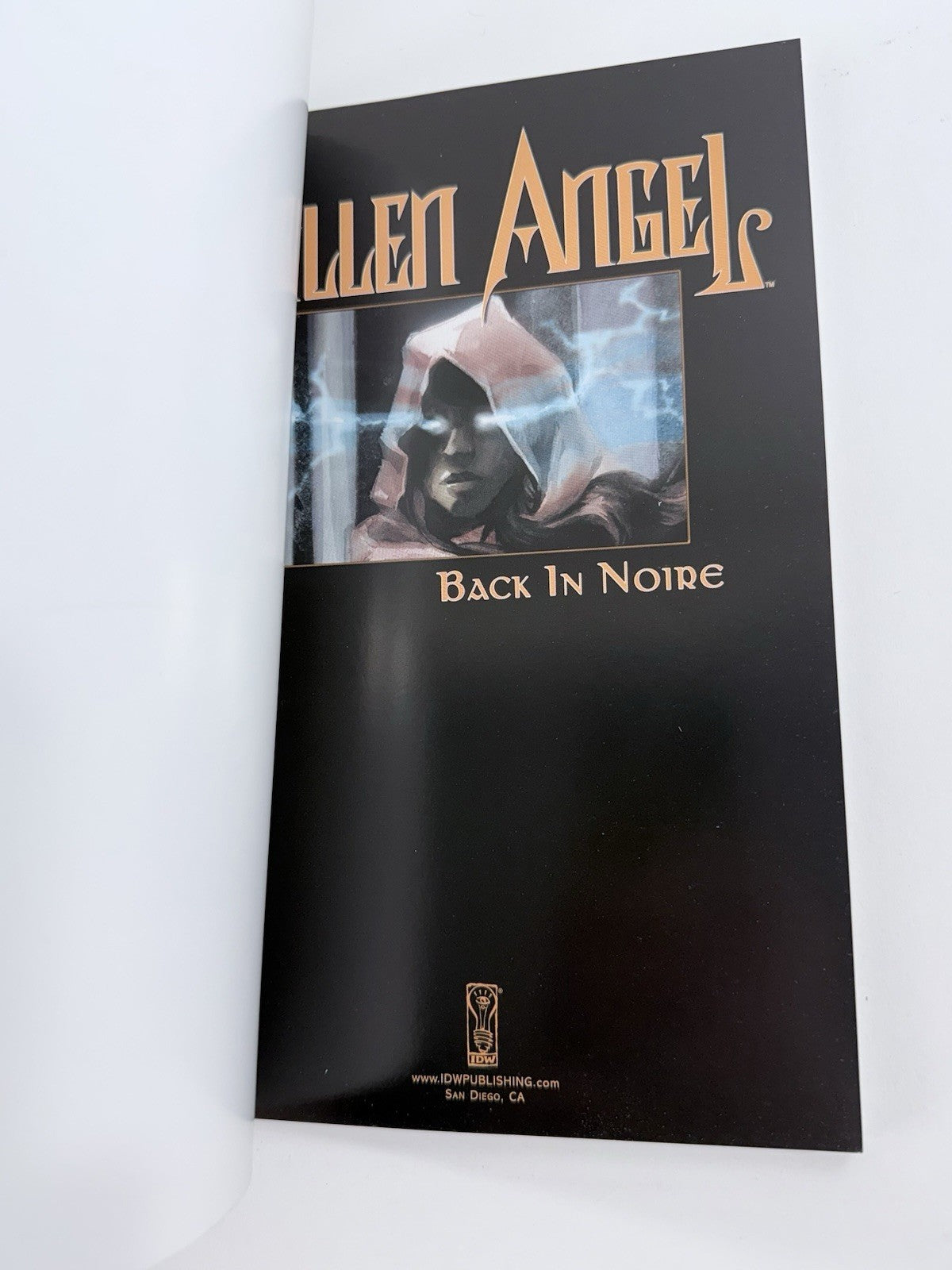 Fallen Angel: To Rule in Hell (IDW, 2007) Back in Noire - First Prints - #2 #3