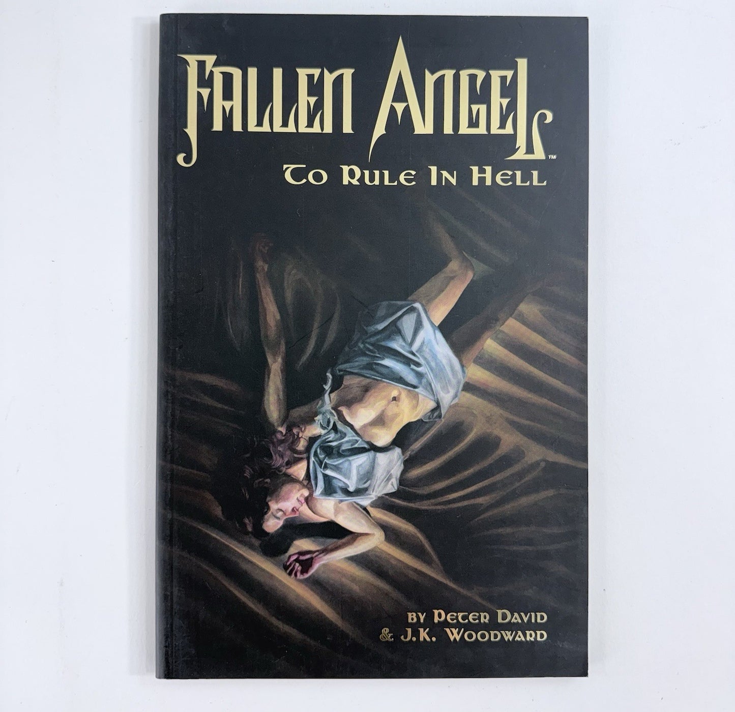 Fallen Angel: To Rule in Hell (IDW, 2007) Back in Noire - First Prints - #2 #3
