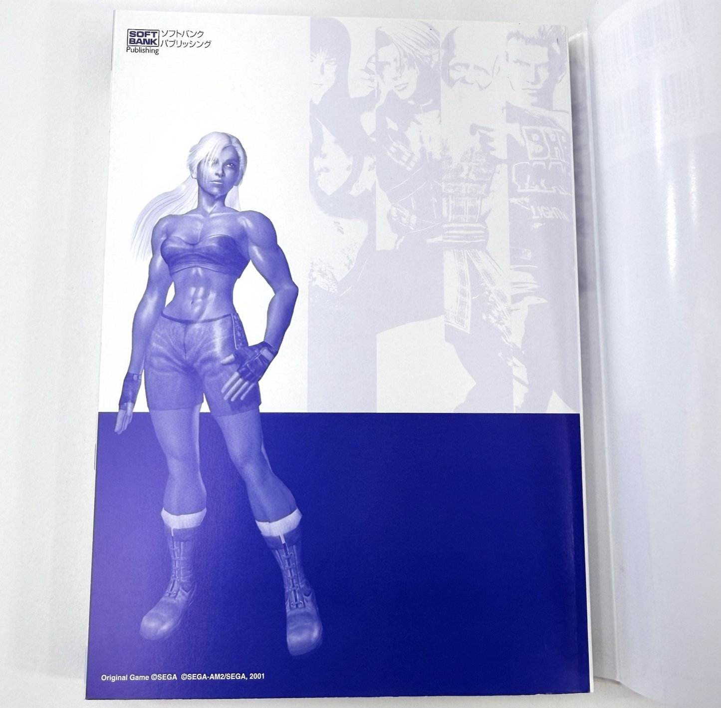 Virtua Fighter 4 Perfect Guide Ver. B (SoftBank Publishing, 2001) Japanese Ver.