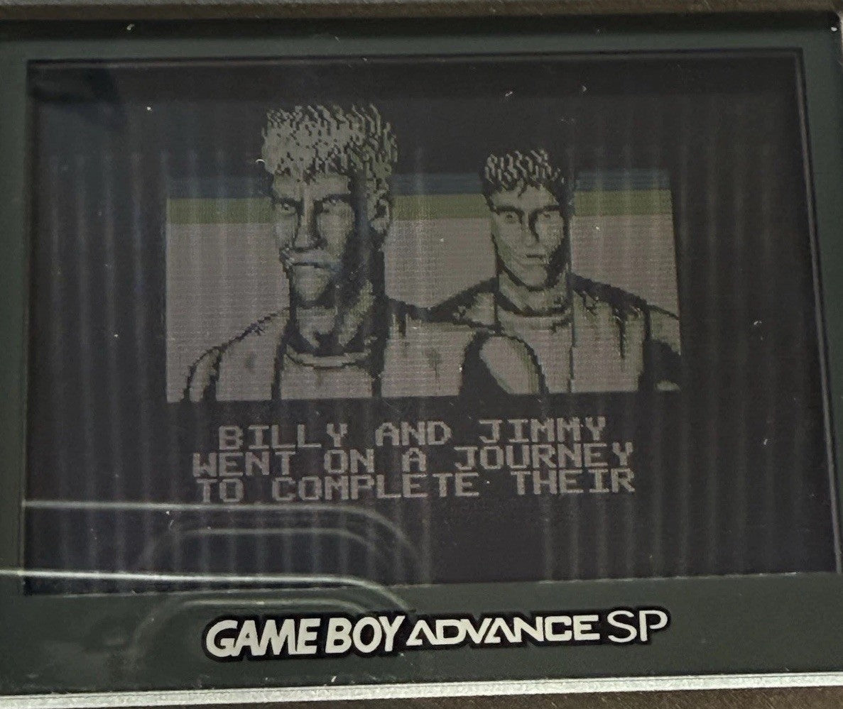 Double Dragon III: The Arcade Game (Nintendo Game Boy, 1993) Game Cartridge