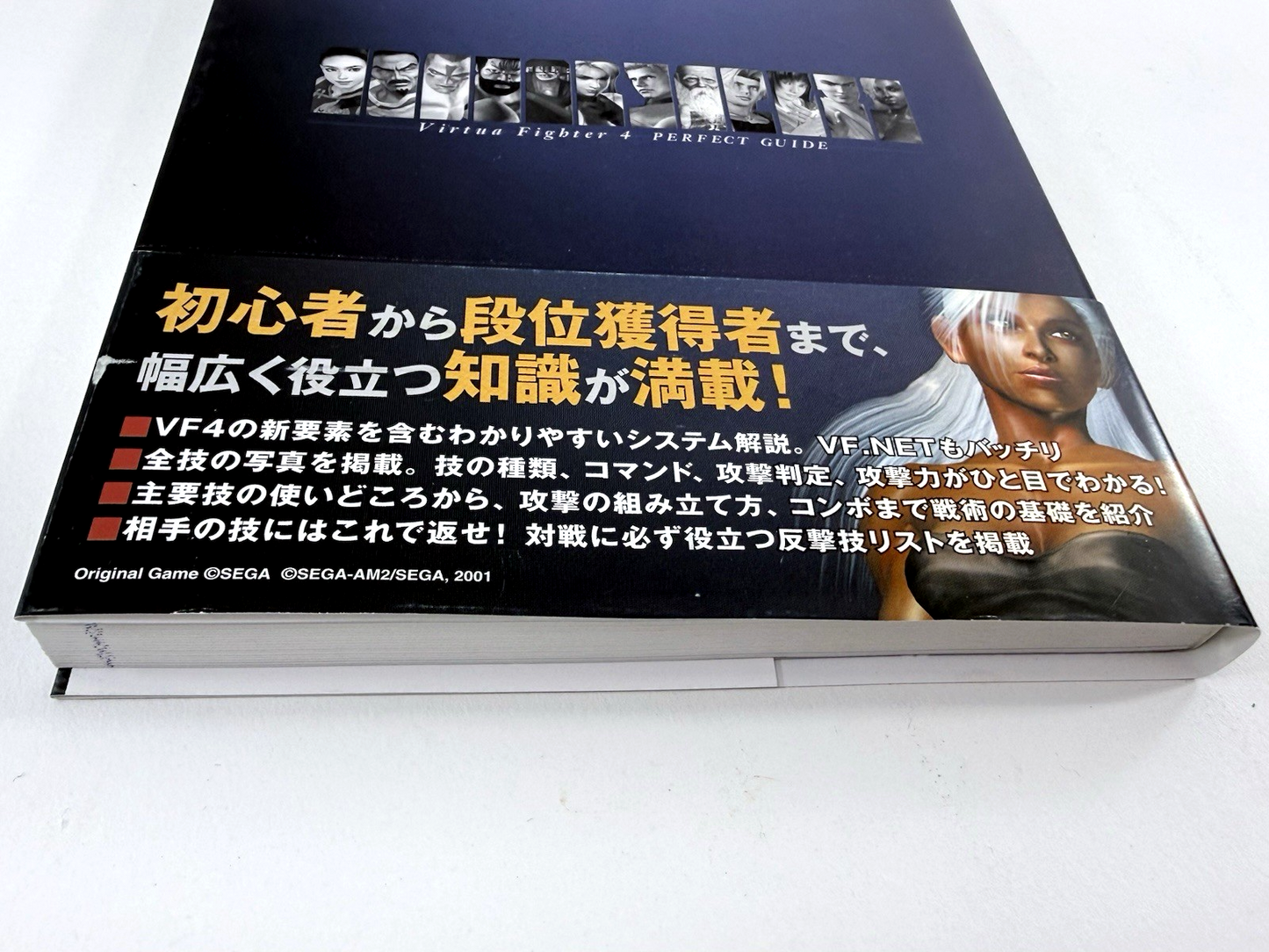 Virtua Fighter 4 Perfect Guide Ver. B (SoftBank Publishing, 2001) Japanese Ver.