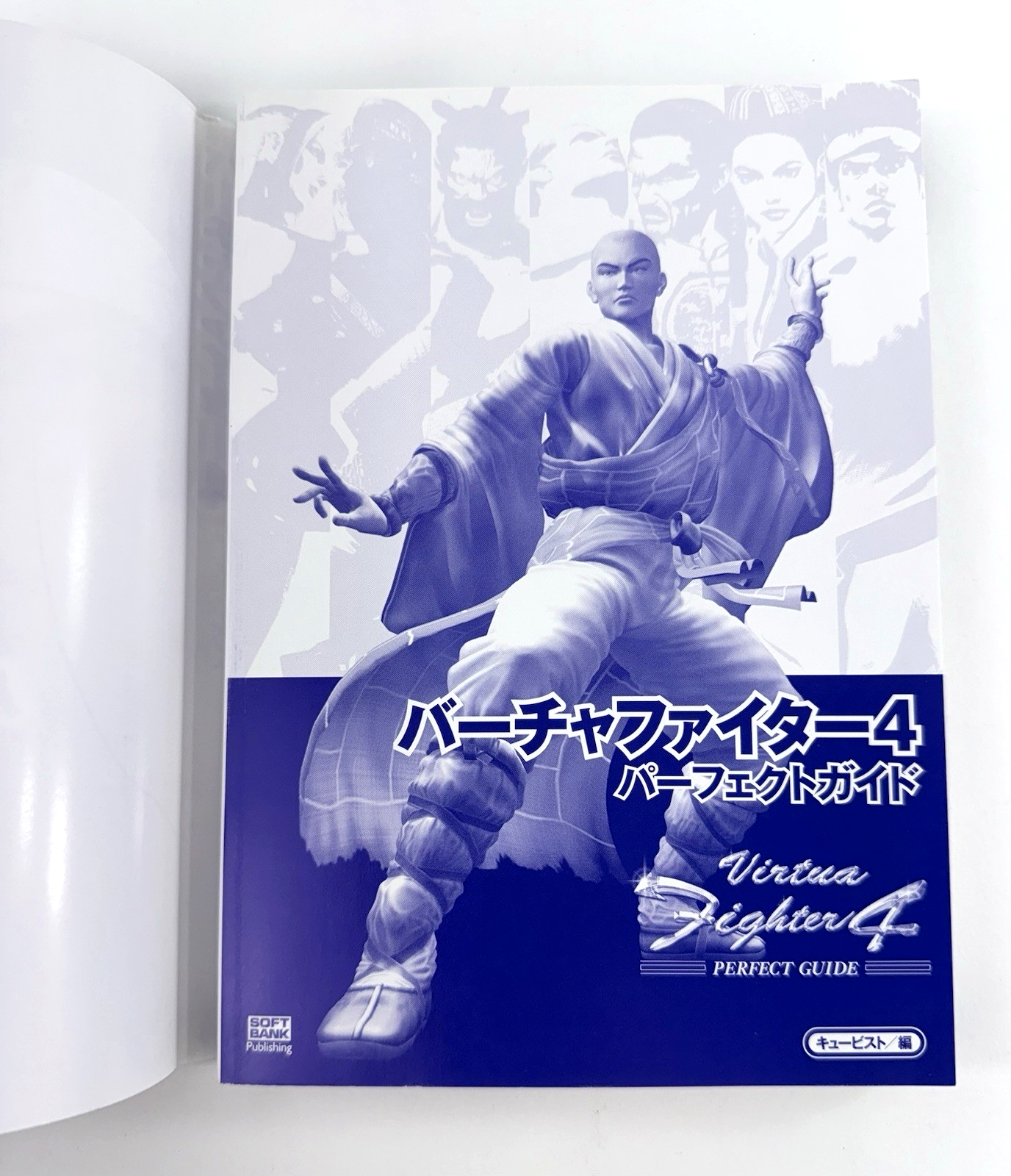 Virtua Fighter 4 Perfect Guide Ver. B (SoftBank Publishing, 2001) Japanese Ver.