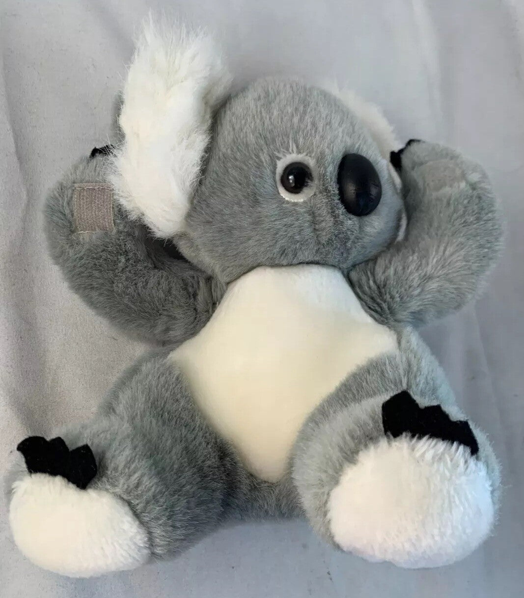 Koala Bear Plush Designed In Australia By Besko Toy Co. Soft Cuddly