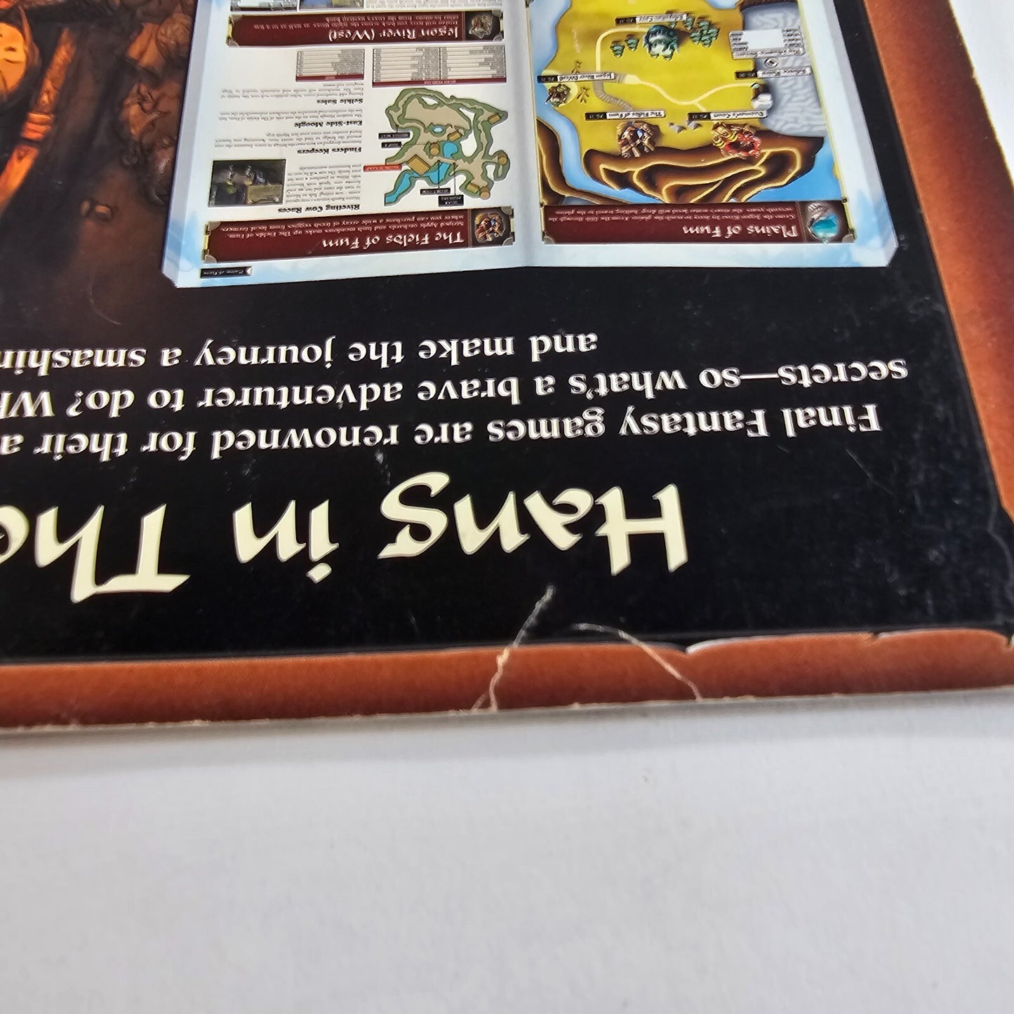 Nintendo Final Fantasy Crystal Chronicles Official Strategy Guide Book Game Cube