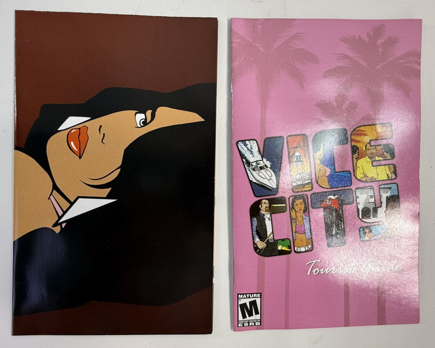 Grand Theft Auto: Vice City (PlayStation 2, 2002) Game Case Manual Poster - Read