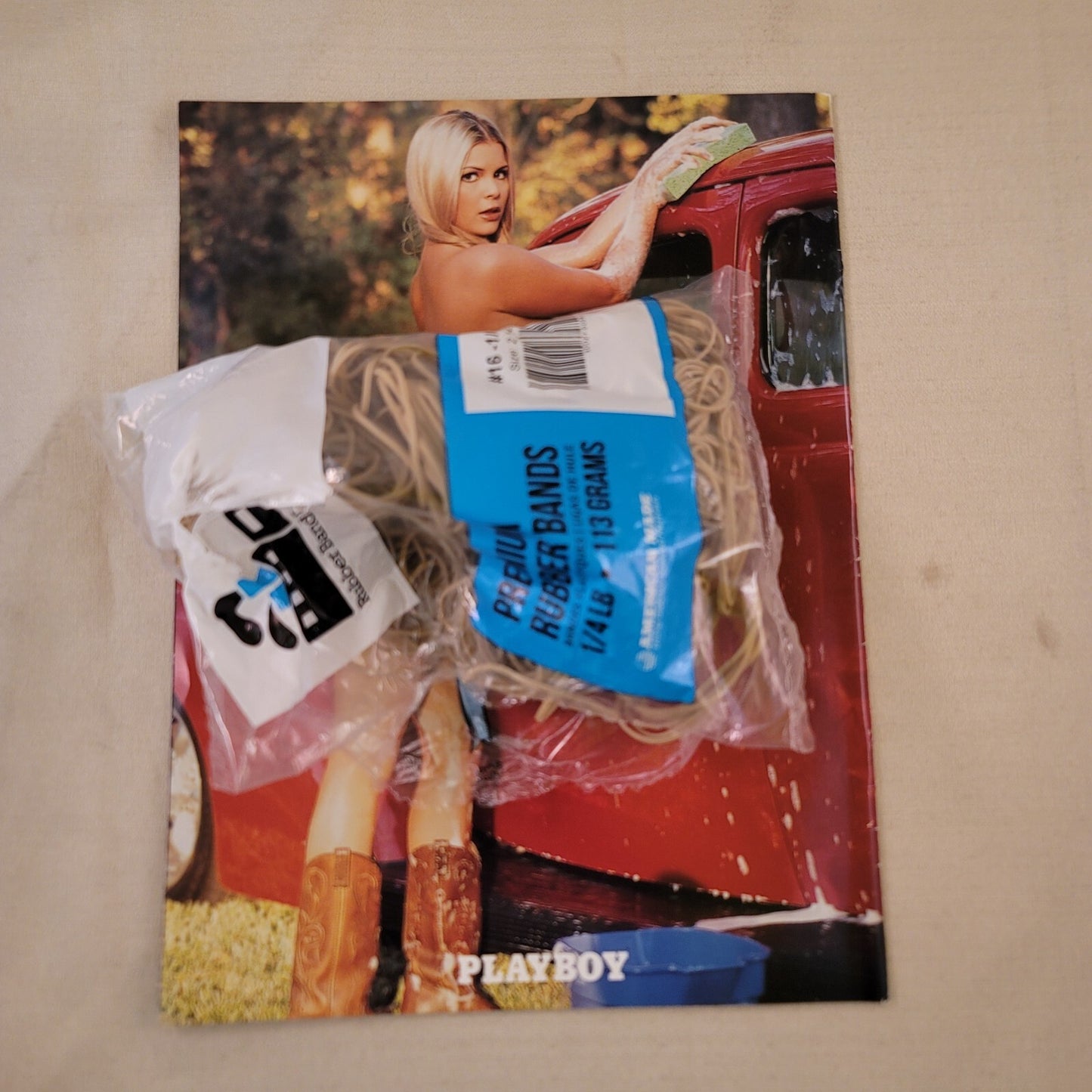 Playboy's Wet Hot and Sexy 2006 Supplement