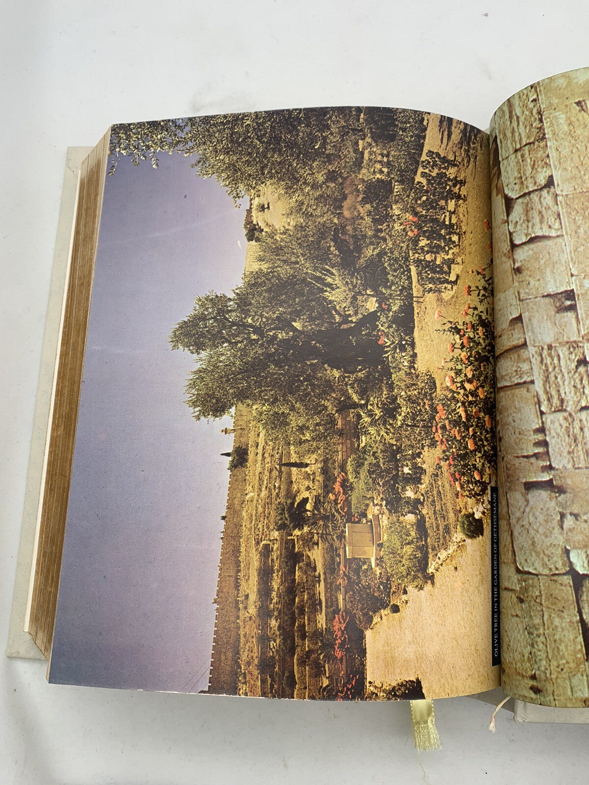 Large Vintage White & Gold Holy Bible Red Letter 1976 Keepsake Family Edition