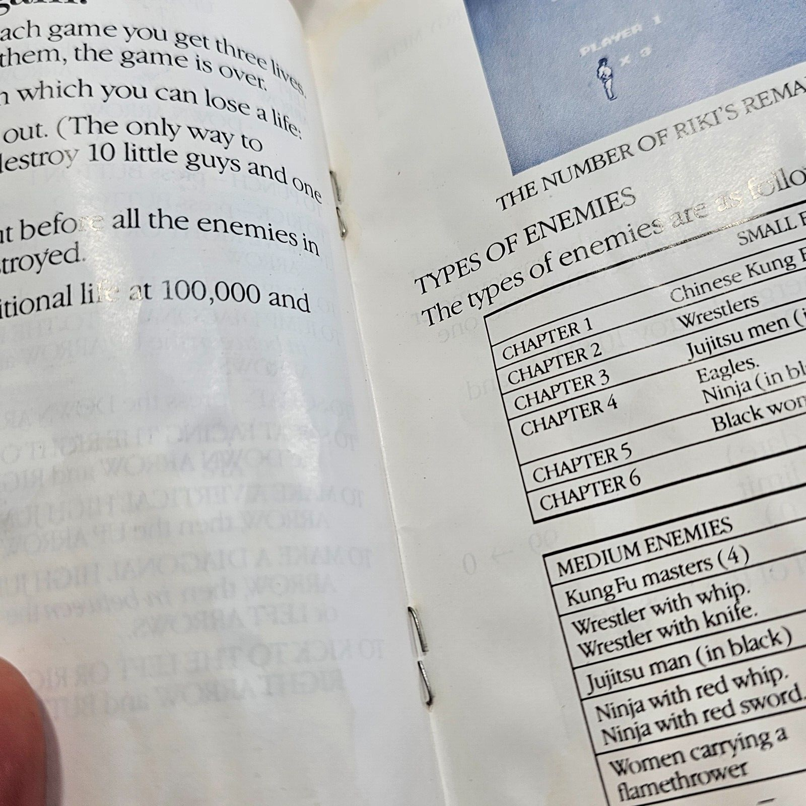 Black Belt (Sega Master System, 1986) Game Case Manual  - Tested and Working