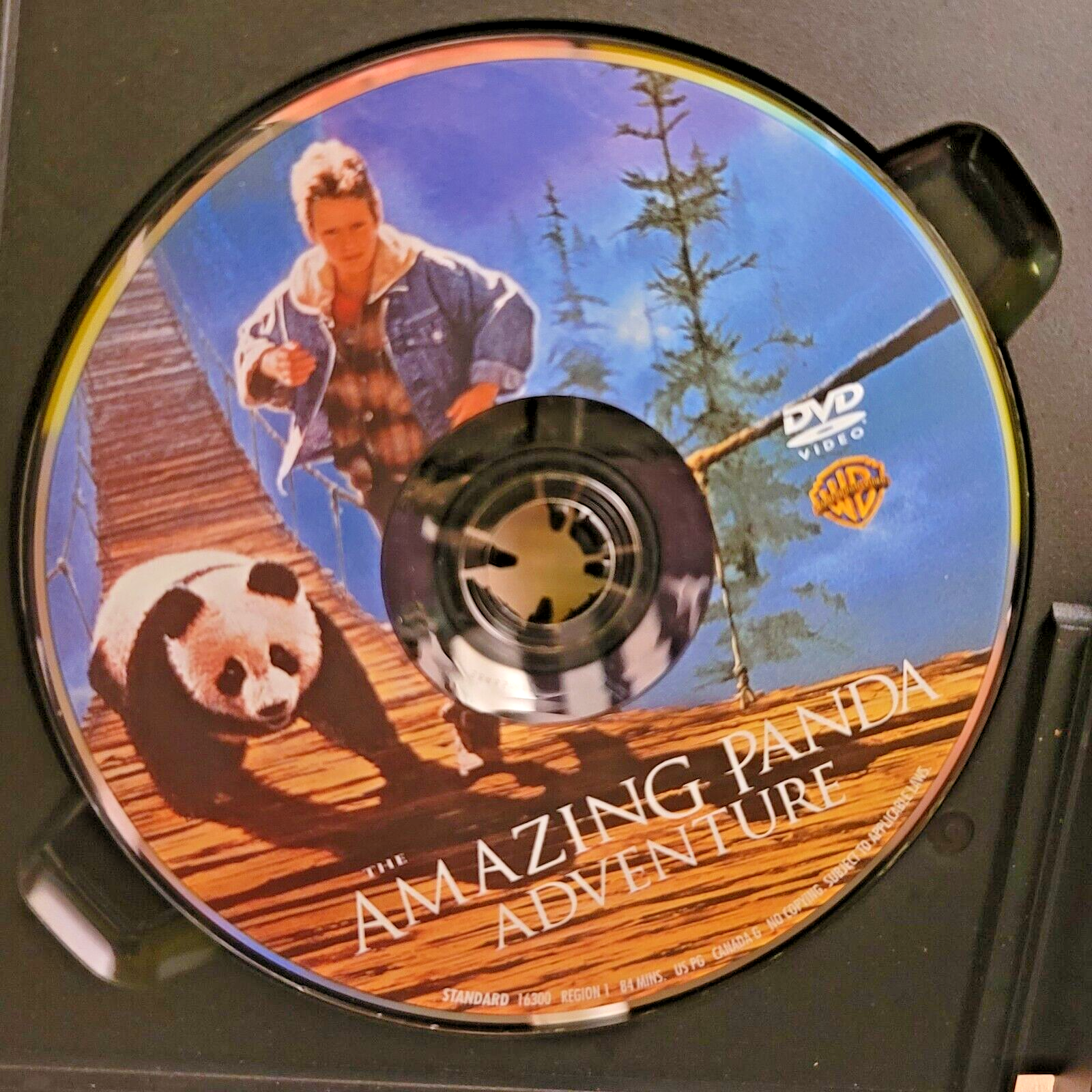 The Amazing Panda Adventure (DVD, )