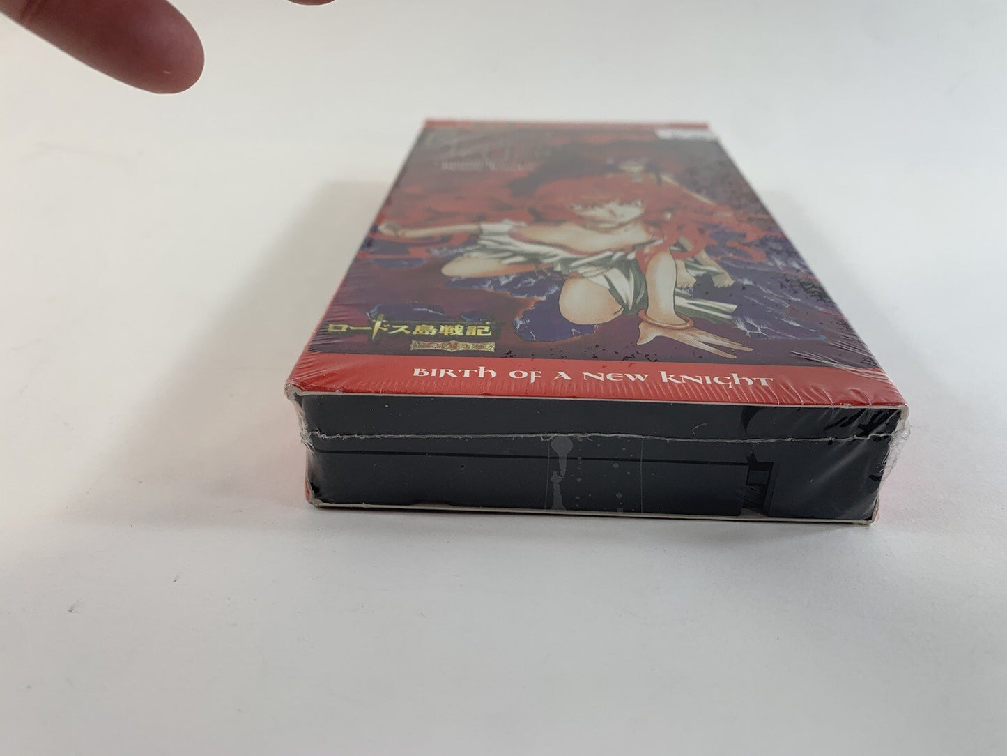 Record of Lodoss War: Chronicles of the Heroic Knight Vol. 9 - Birth of a New...