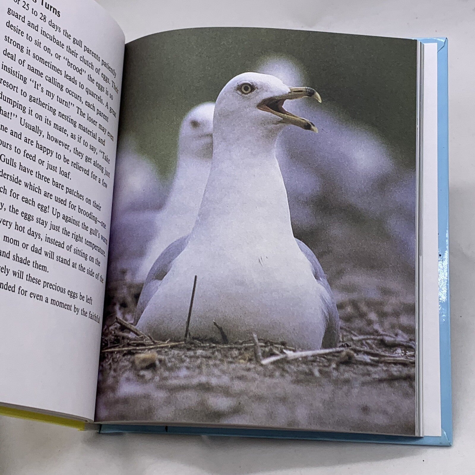 Getting to Know... Nature's Children (Hardcover bundle) Gorillas Puffins Gulls