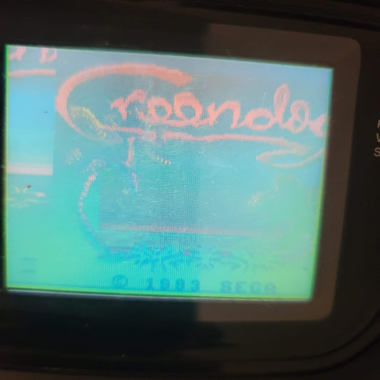 Greendog: The Beached Surfer Dude (Sega Game Gear, 1993) Game Cartridge - Tested