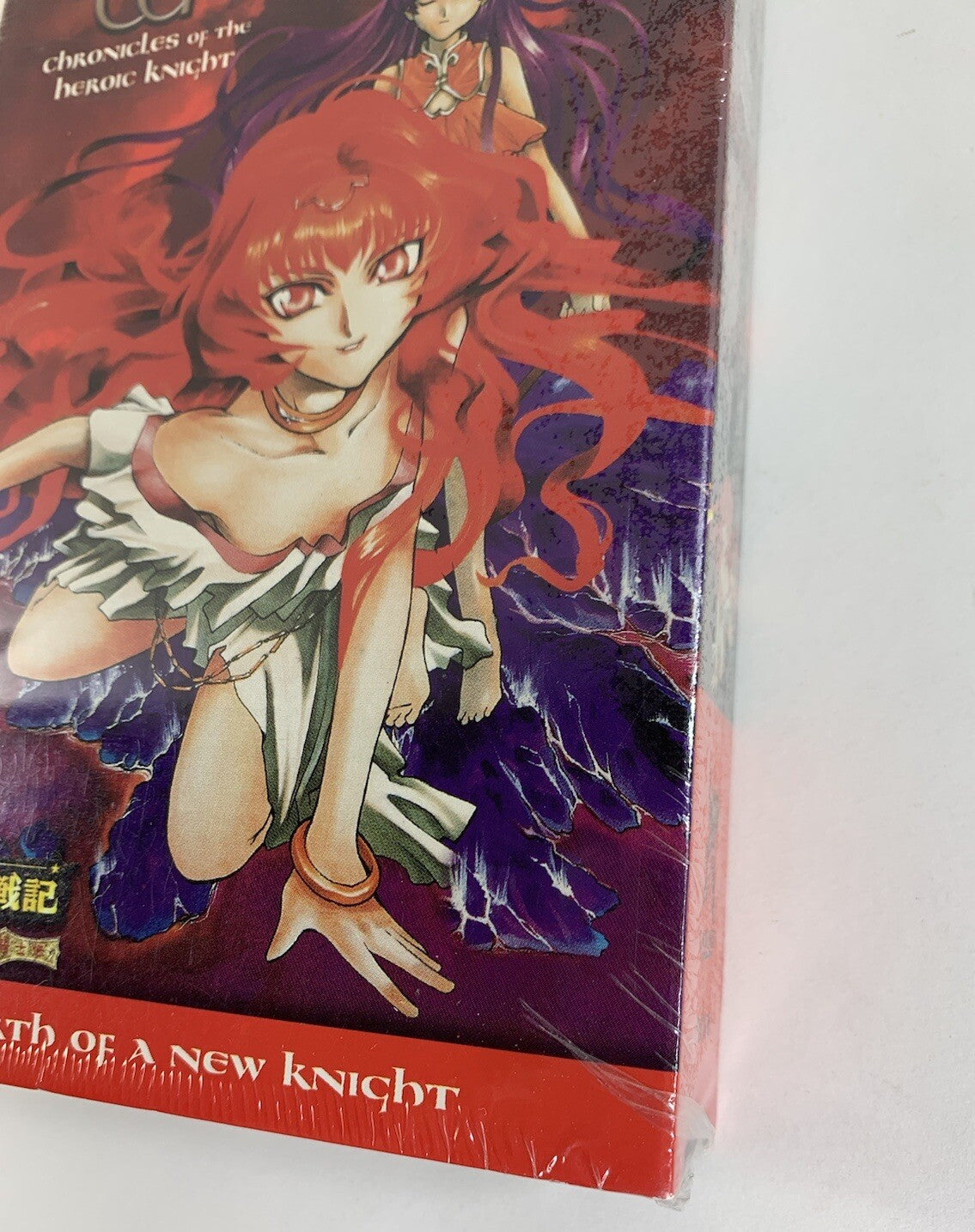 Record of Lodoss War: Chronicles of the Heroic Knight Vol. 9 - Birth of a New...
