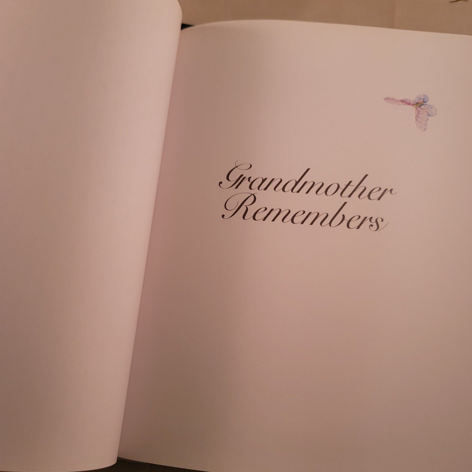 Grandmother Remembers: A Written Heirloom for My Grandchild Scrapbook Diary