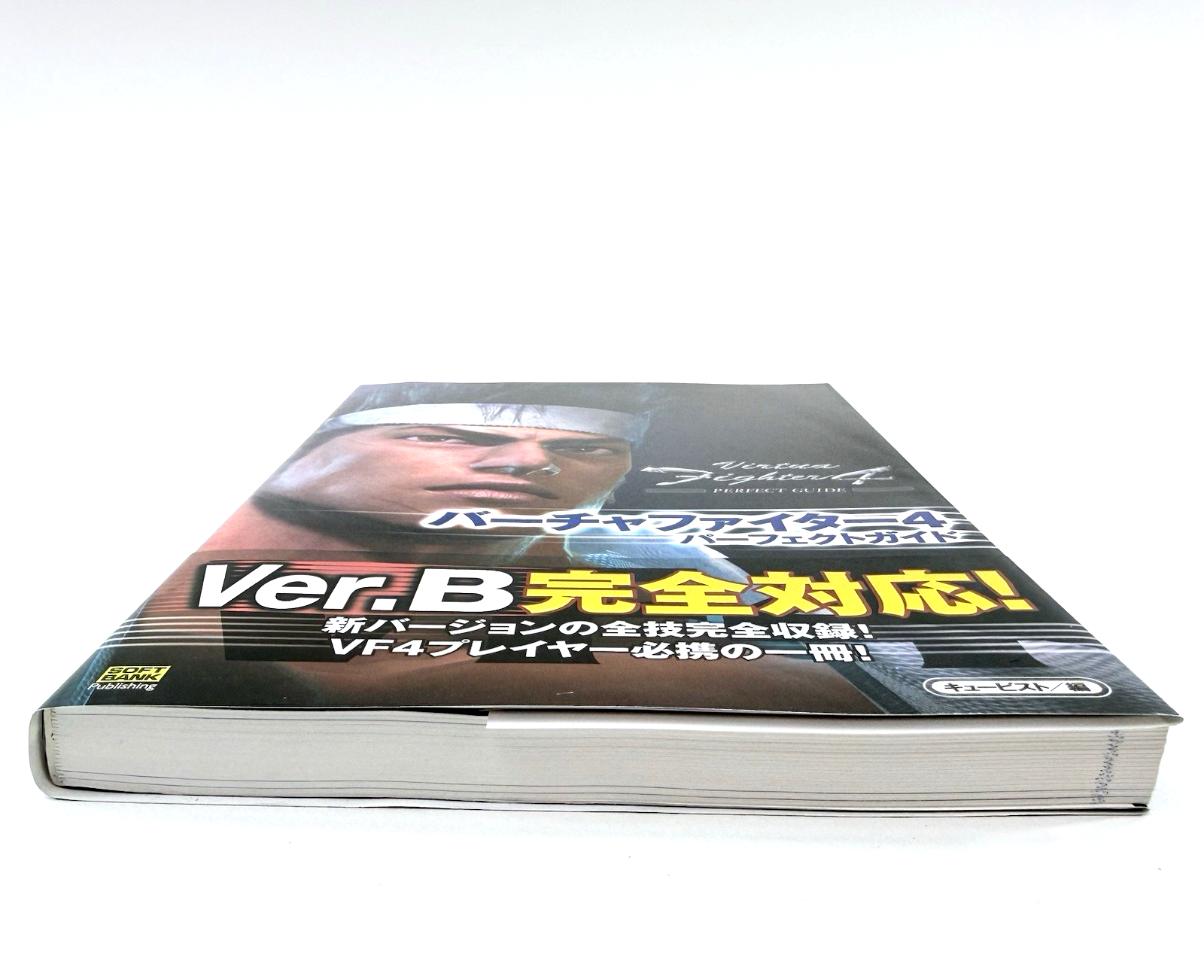 Virtua Fighter 4 Perfect Guide Ver. B (SoftBank Publishing, 2001) Japanese Ver.