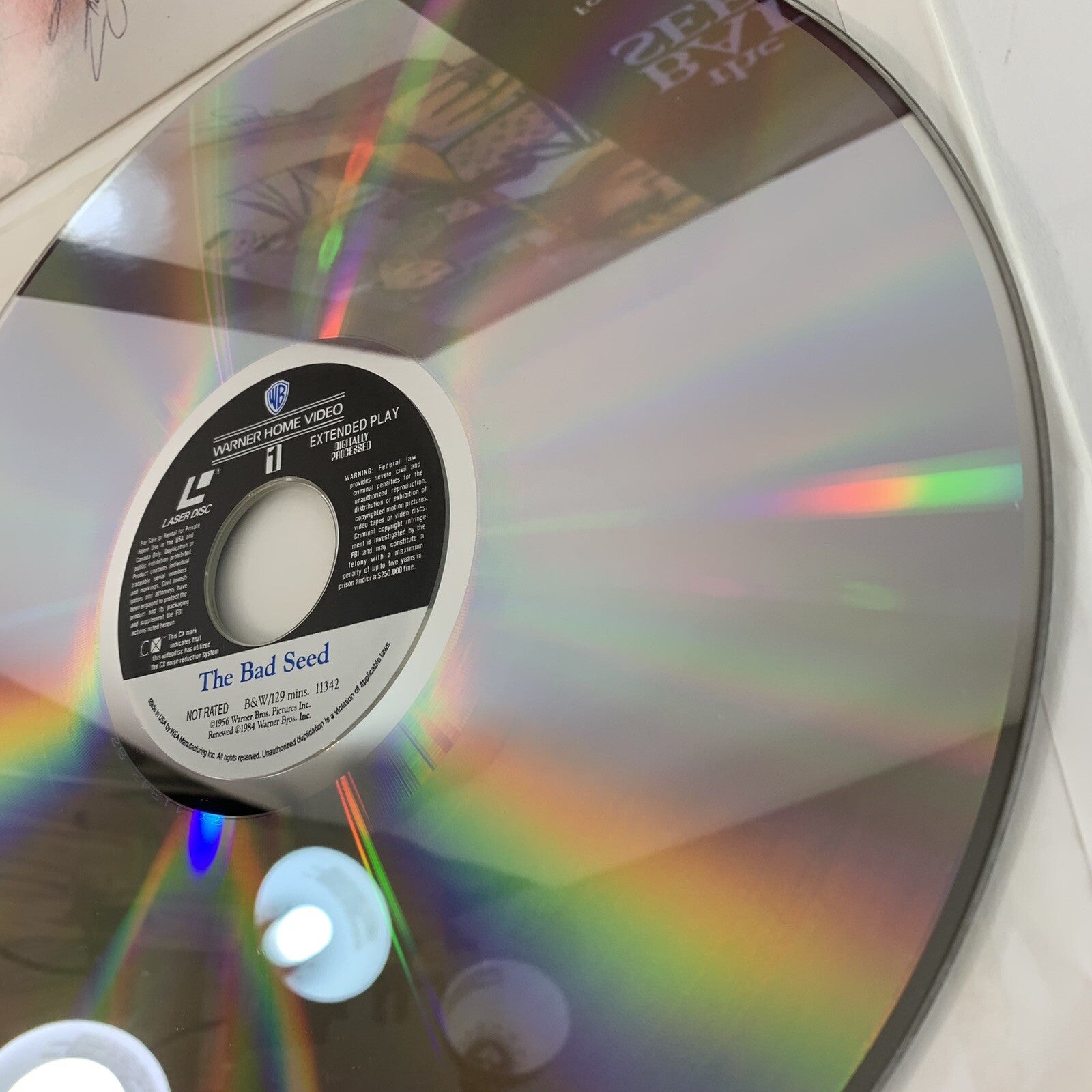 The Bad Seed (Extended/Standard Laserdisc, 1992) Tested and Working