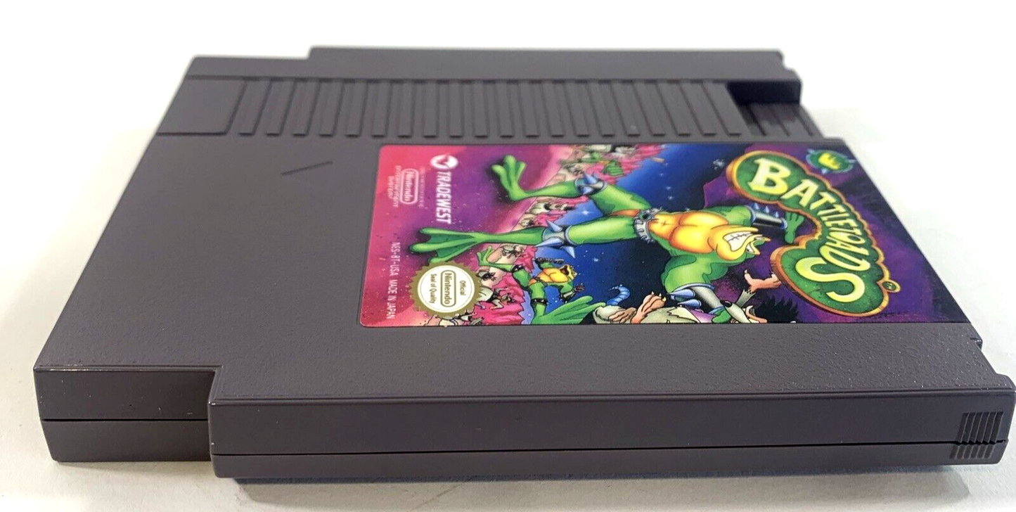 Battletoads (Nintendo Entertainment System, 1991) Game Box Manual Poster Foam