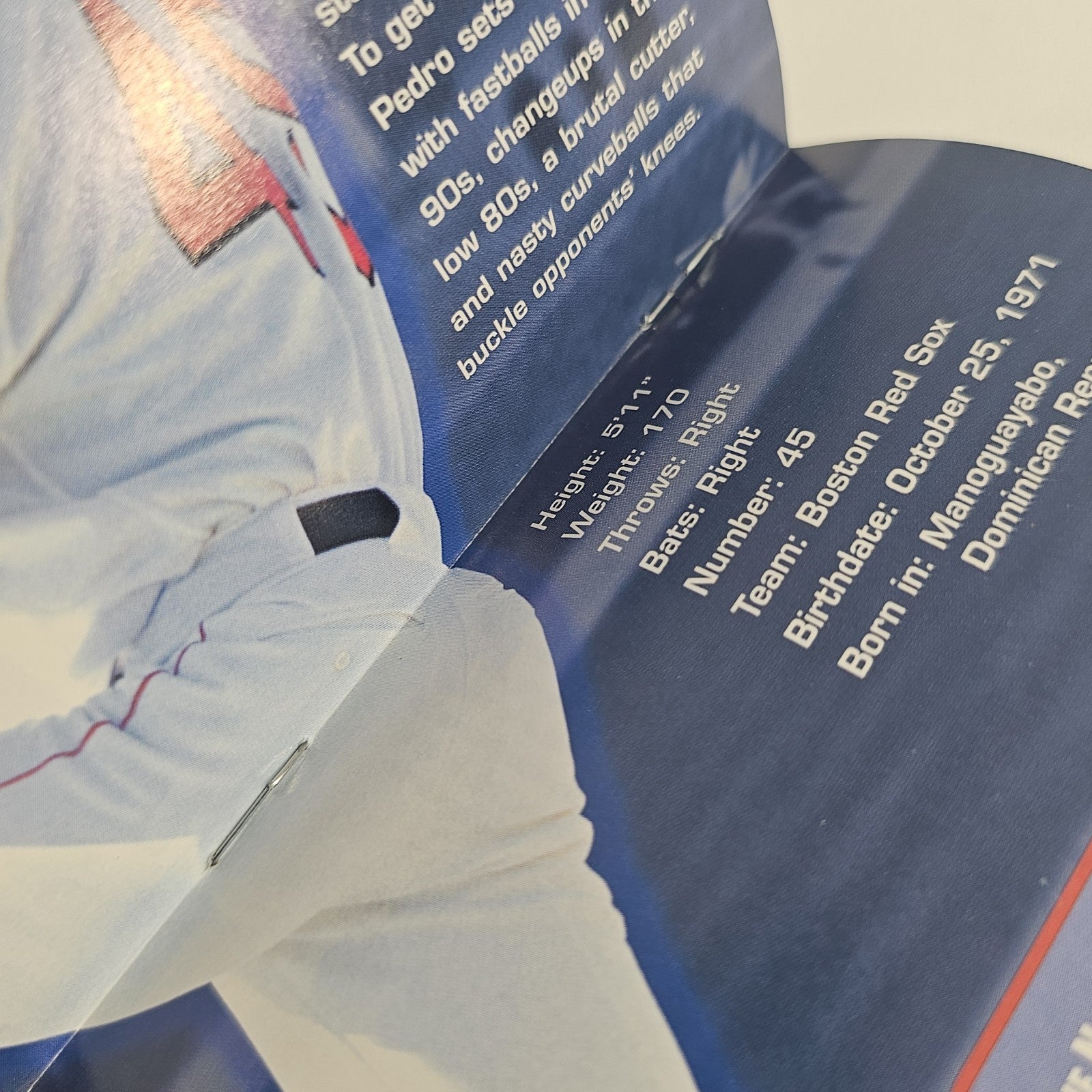 World Series Baseball 2K2 (Sega Dreamcast, 2001) Game Case Manual - Tested